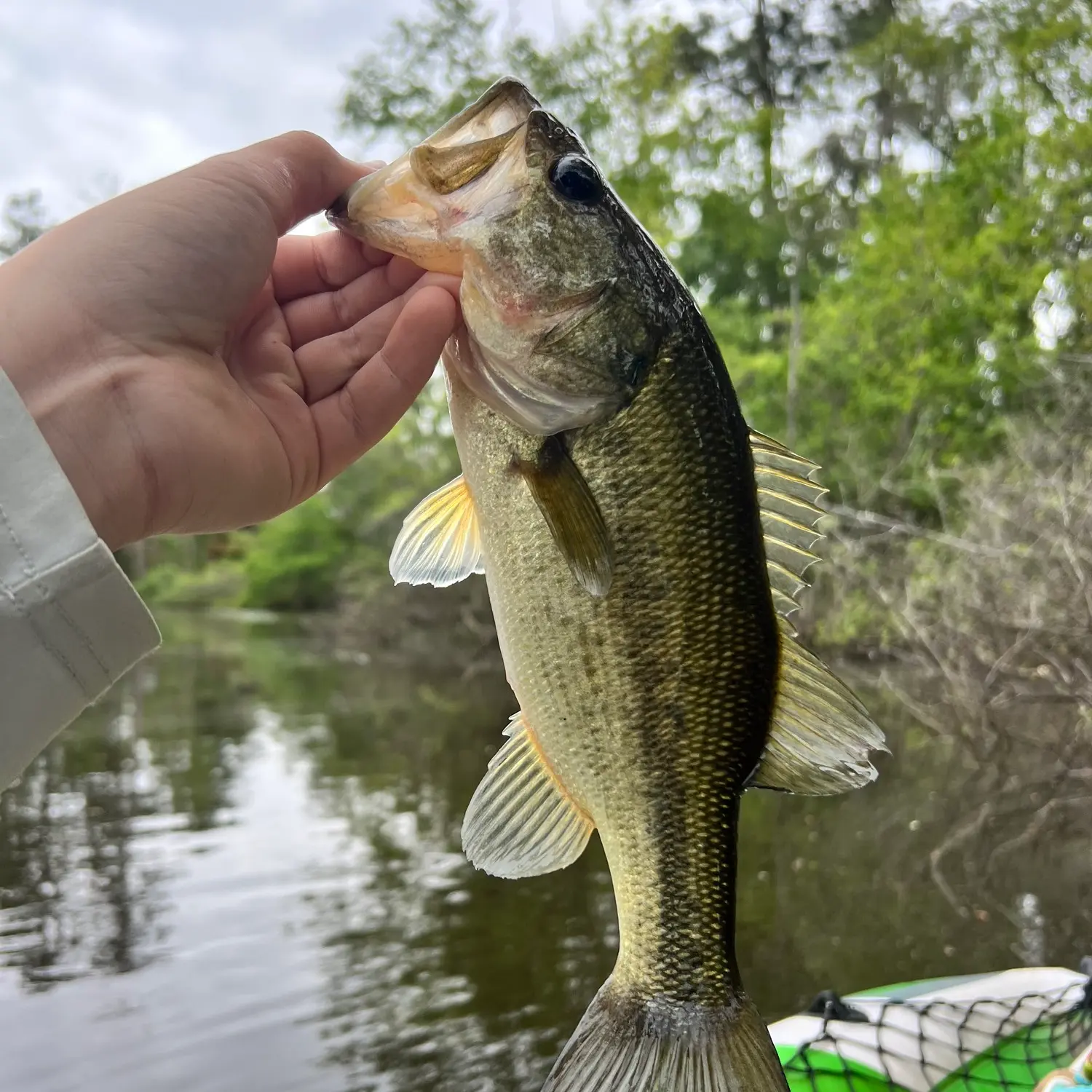 Fishing at the Gâtineaux pond