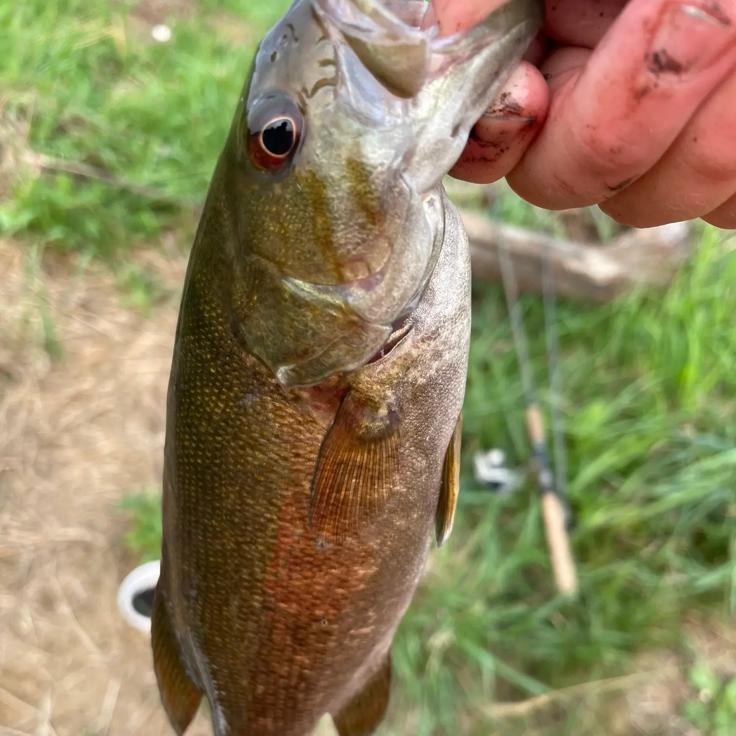 Fishing Elk Creek in Pennsylvania – 365 Angler