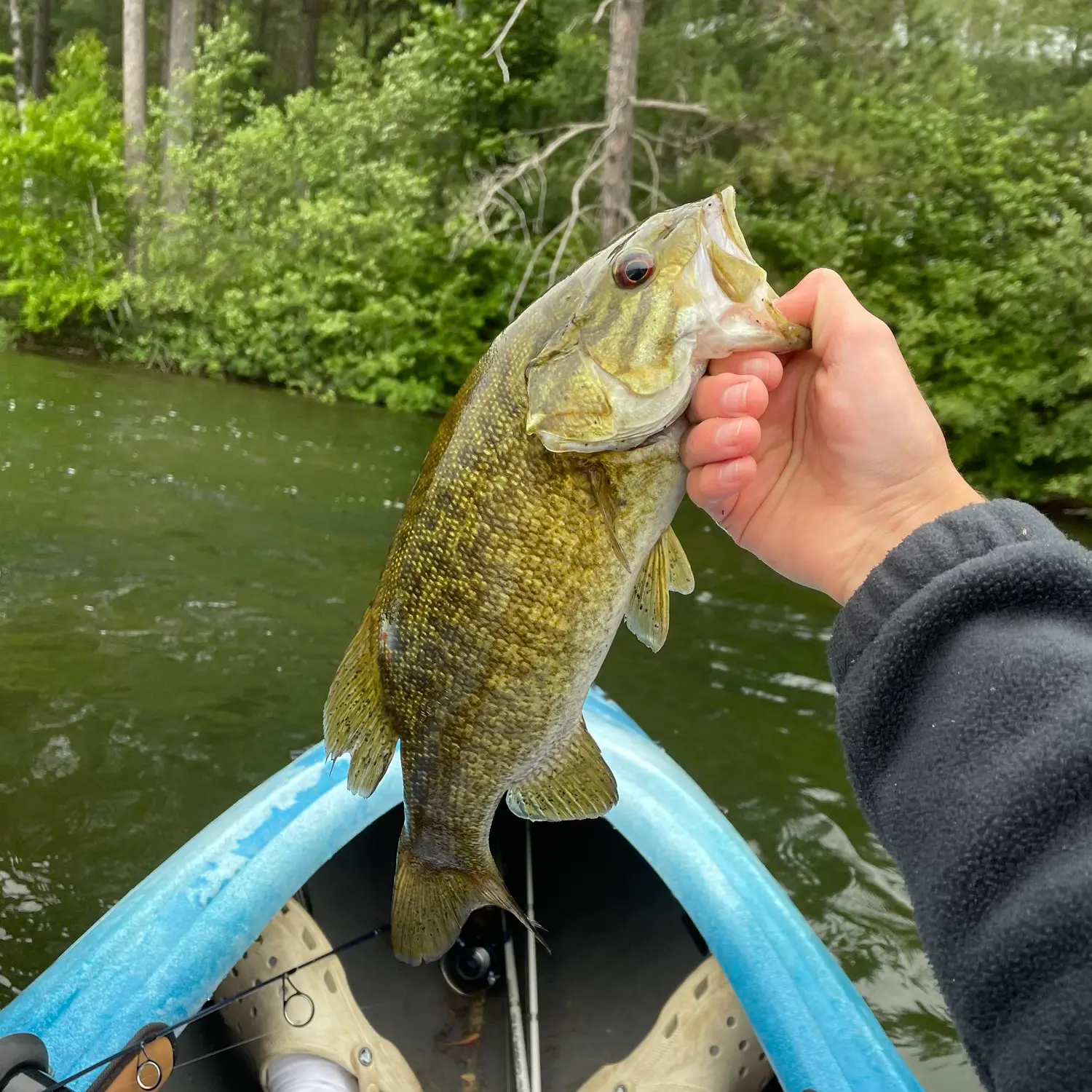 ᐅ Long Interlaken Lake fishing reports🎣• WI, United States fishing