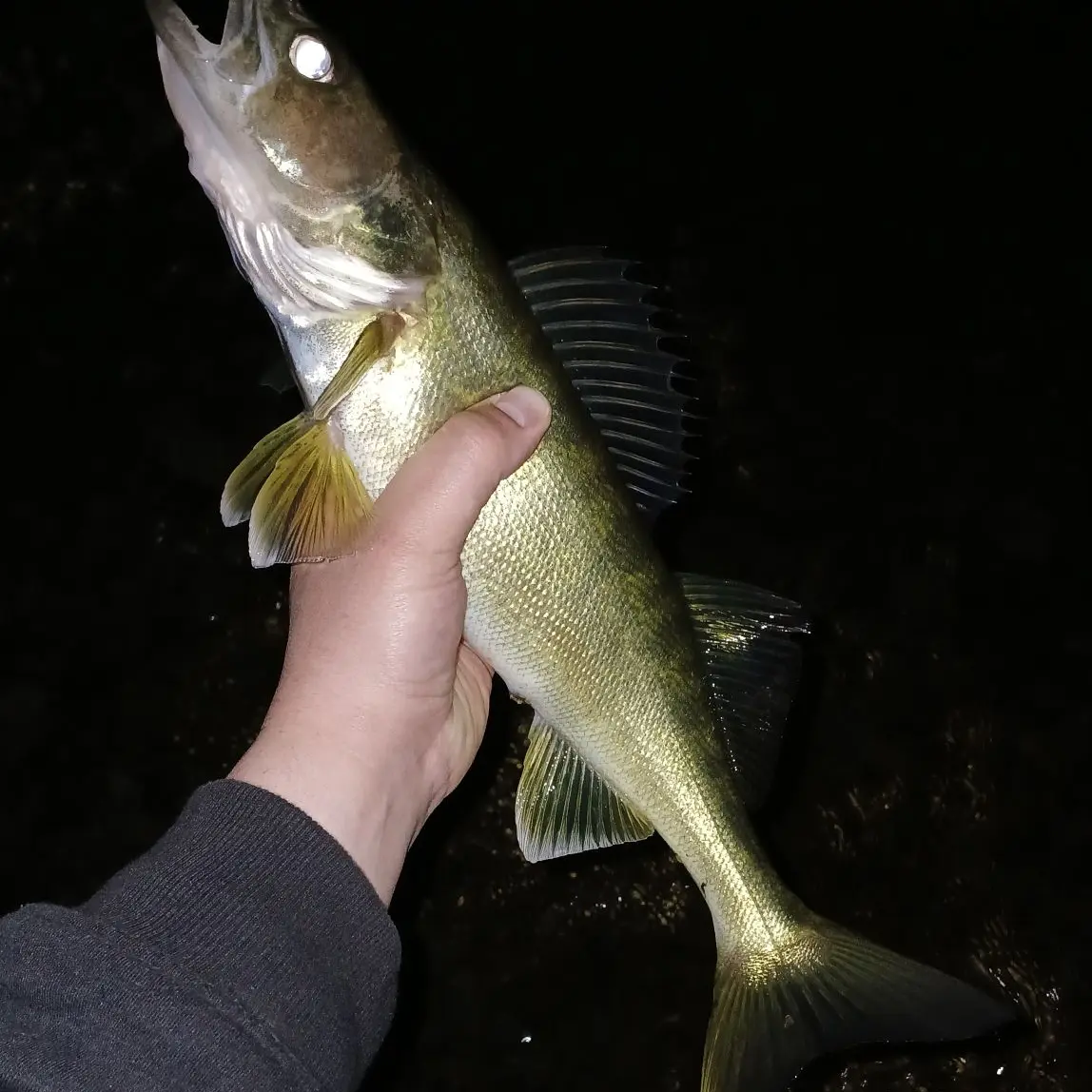 New Cumberland, West Virginia നഗരത്തിൽ Fishing Gear