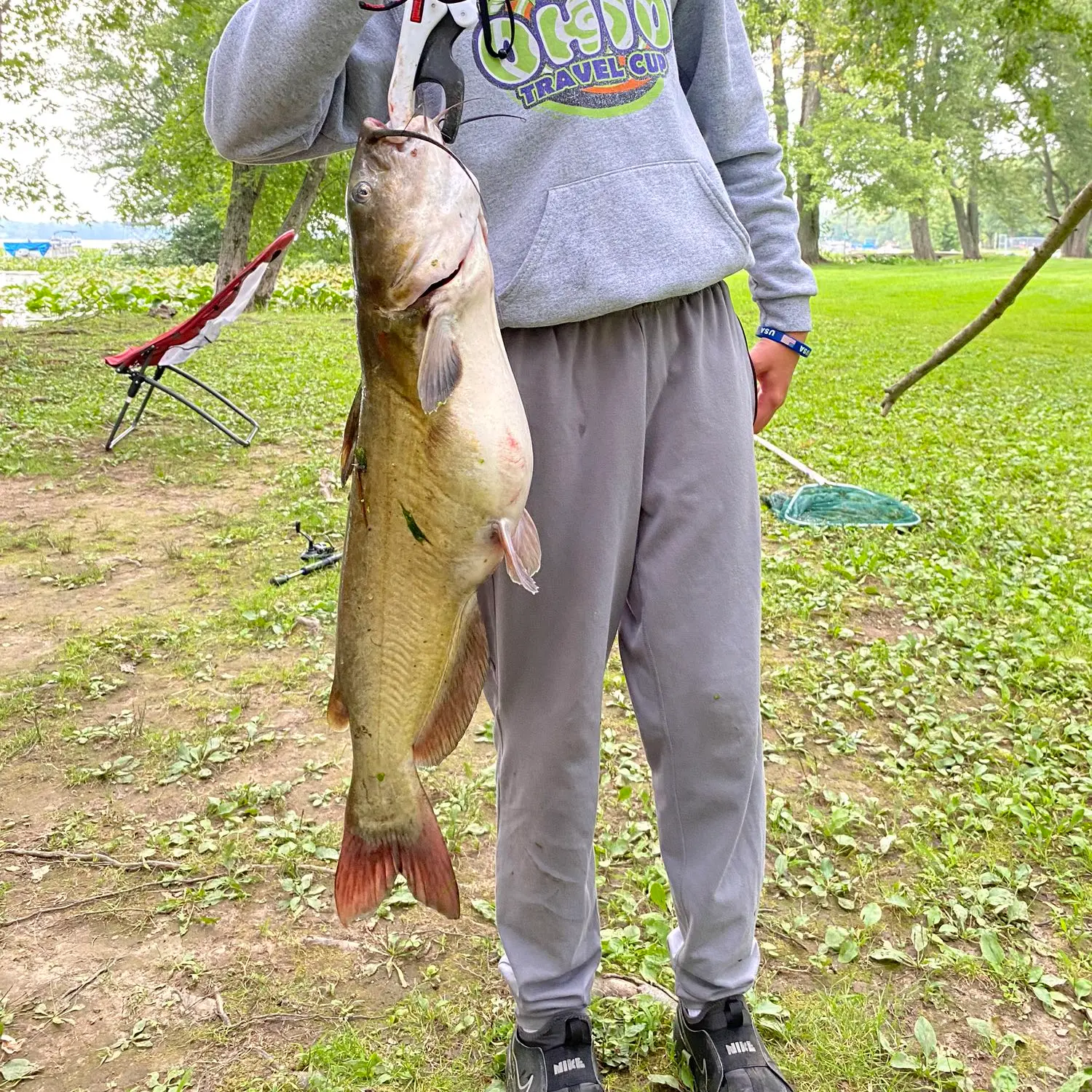 Chippewa Lake fishing reports Medina OH United States fishing