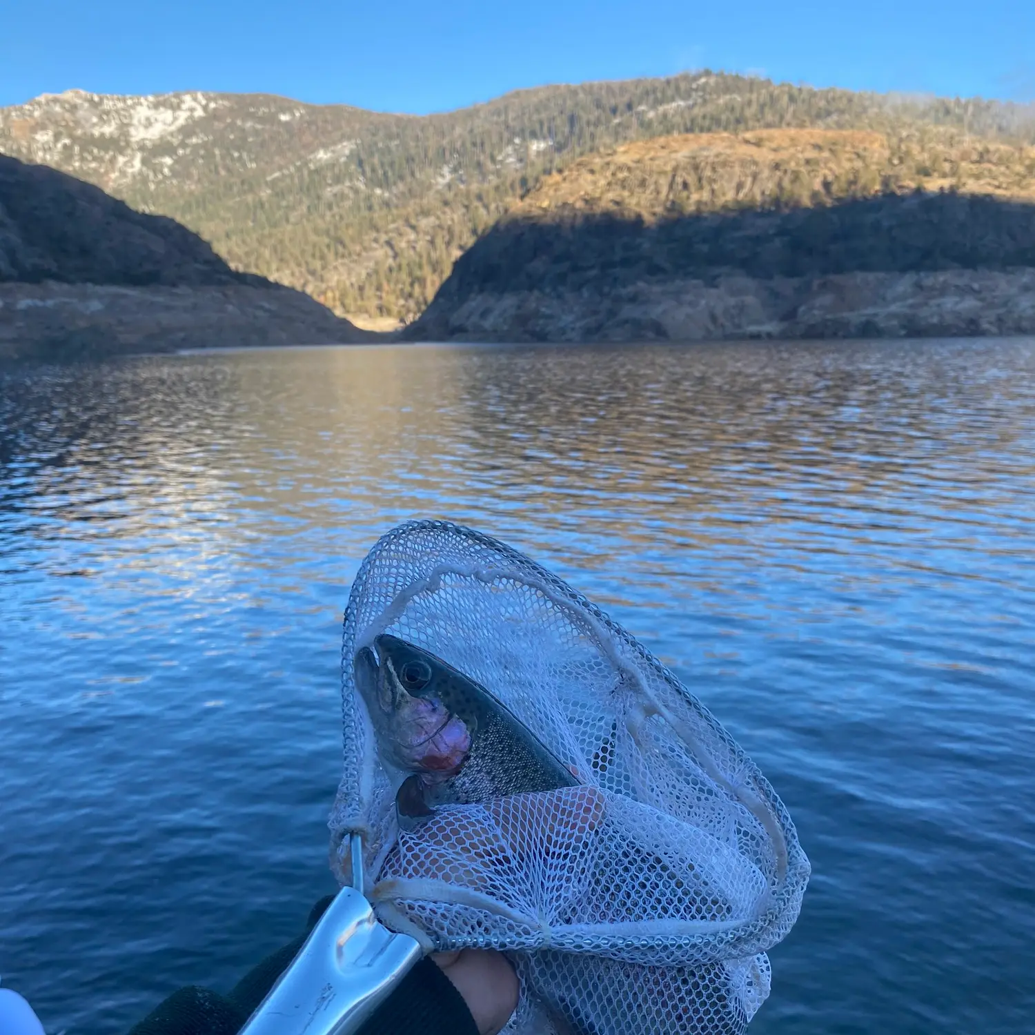 ᐅ Wishon Reservoir fishing reports🎣• Orange Cove, CA (United States ...