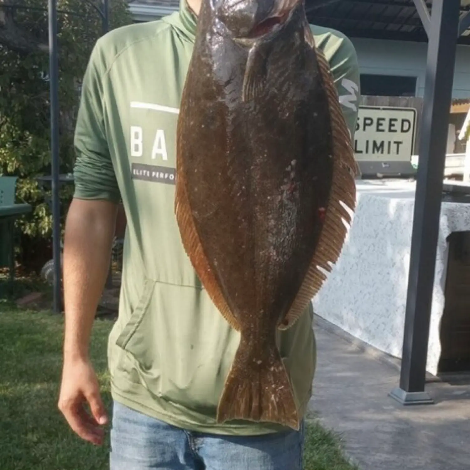 Tomales Bay Halibut 2022 LIMIT!!! 