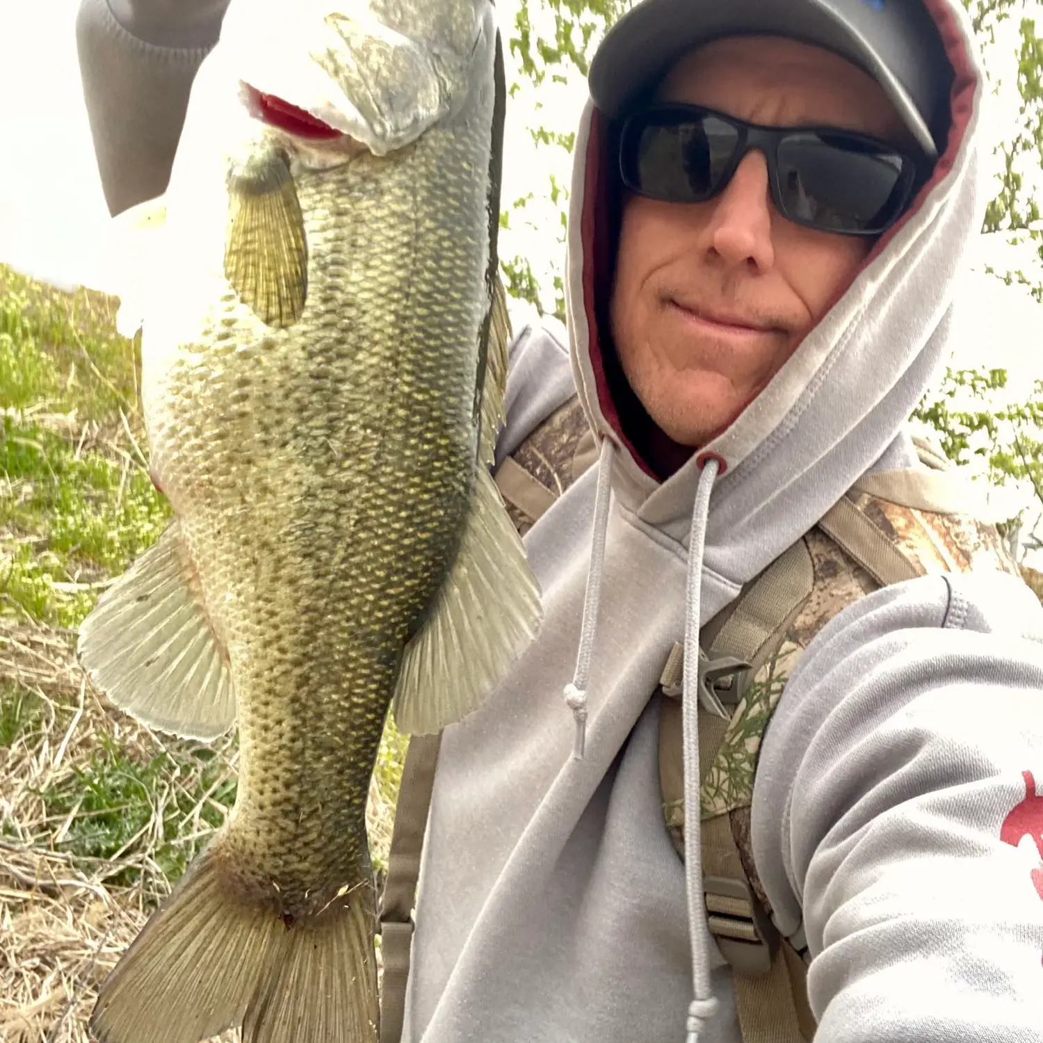 ᐅ Creve Coeur Lake fishing reports🎣• Maryland Heights, MO (United ...