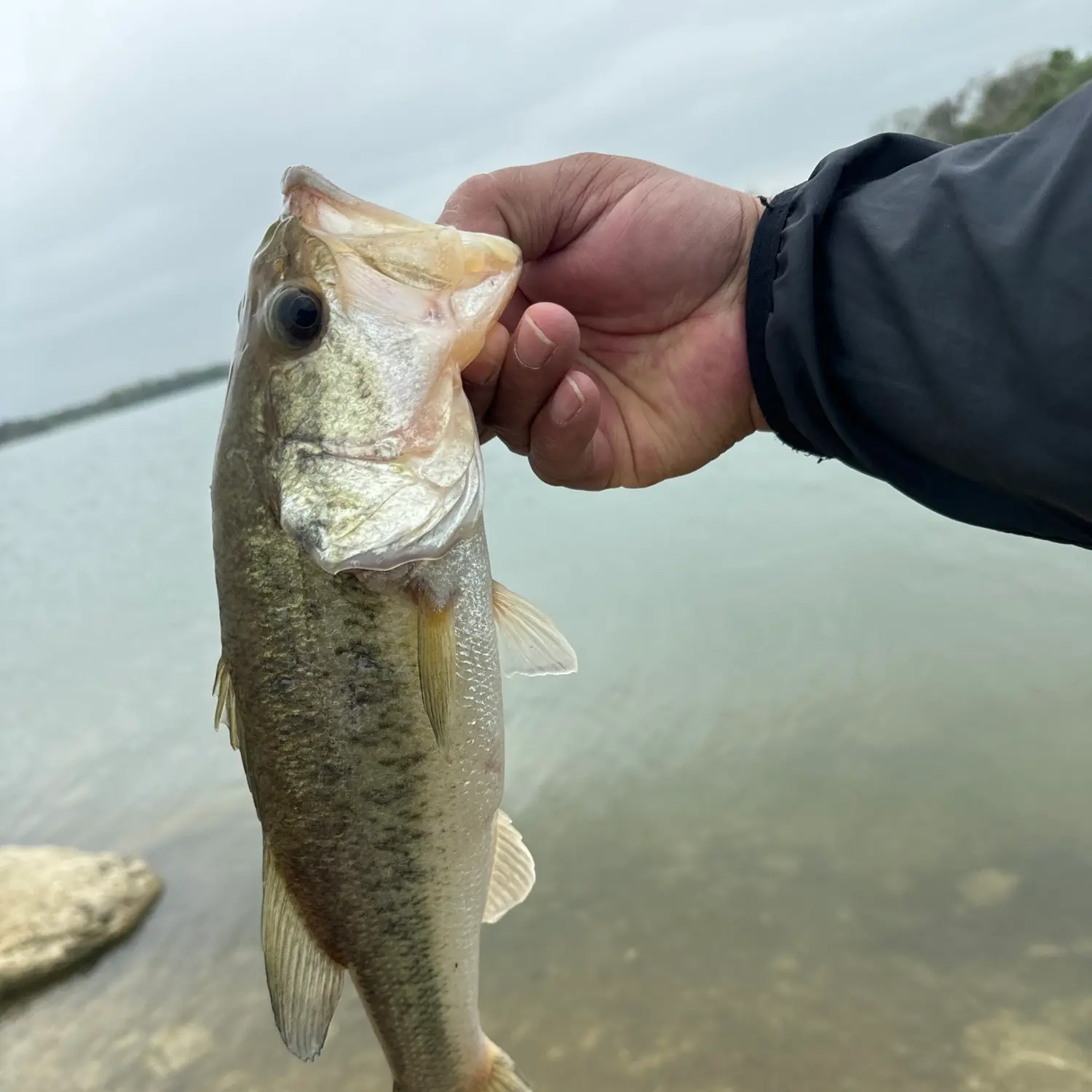 ᐅ Lake Waxahachie fishing reports🎣• Waxahachie, TX (United States) fishing