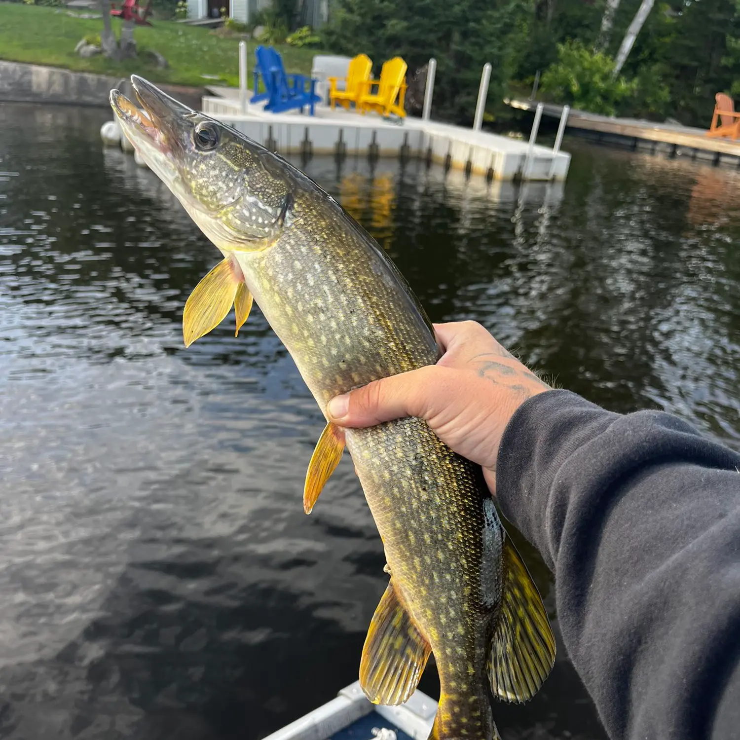 ᐅ Parry Sound fishing reports🎣• Ontario, Canada fishing