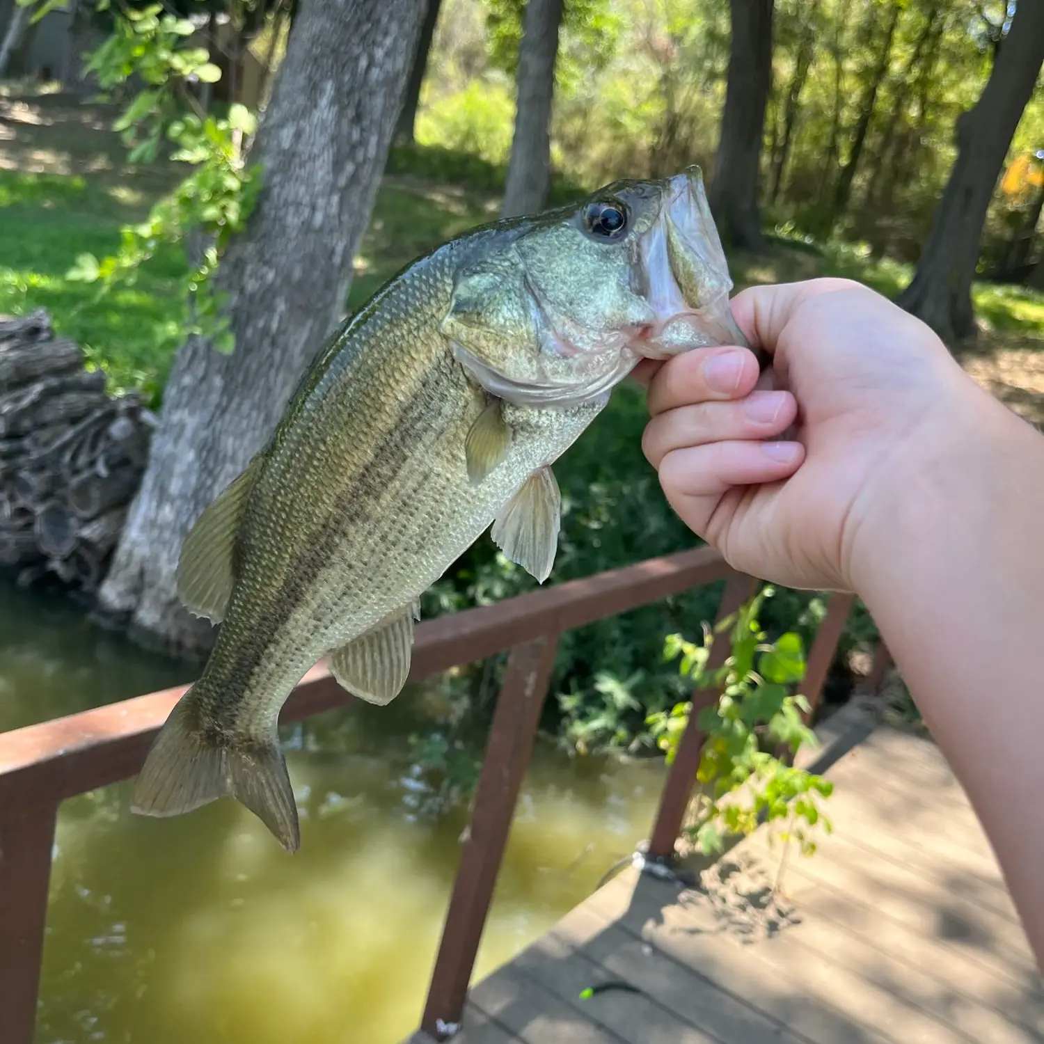 Places to Fish in Lancaster