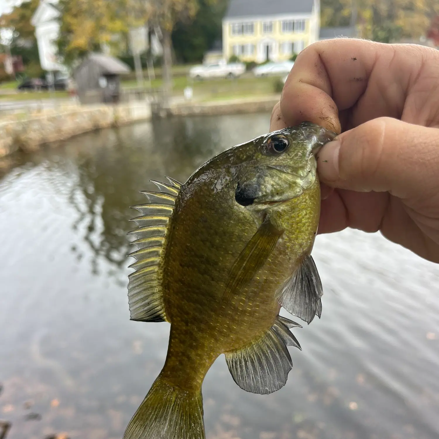 Fishing near Sandwich in Barnstable County, Massachusetts - MA Fish Finder