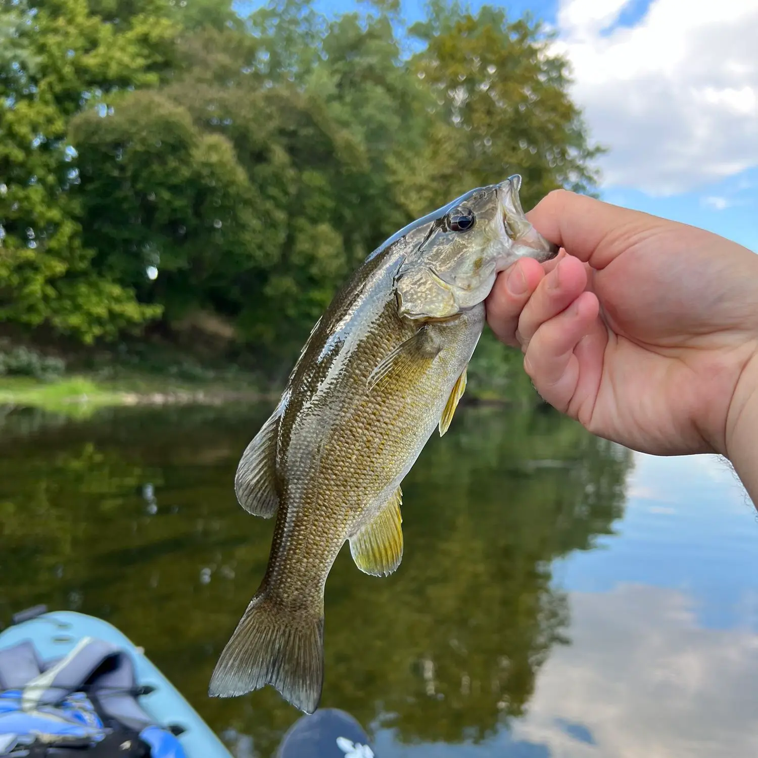 Monocacy River Fishing