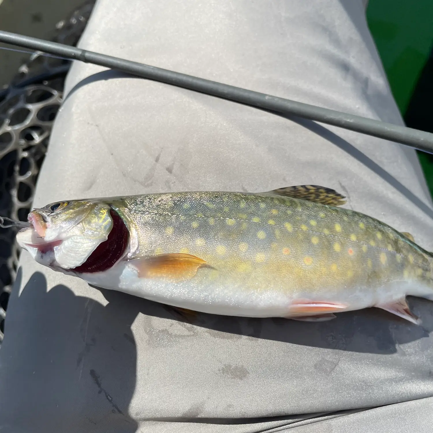 IronGate Reservoir Fishing Report by Charles Cornelison