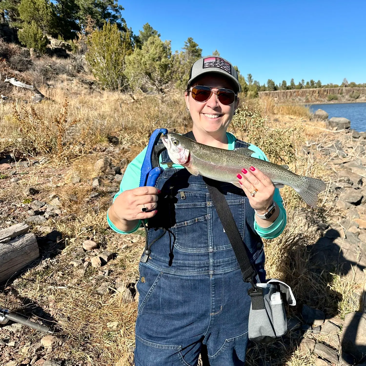 ᐅ Fools Hollow Lake fishing reports🎣• Show Low, AZ (United States) fishing