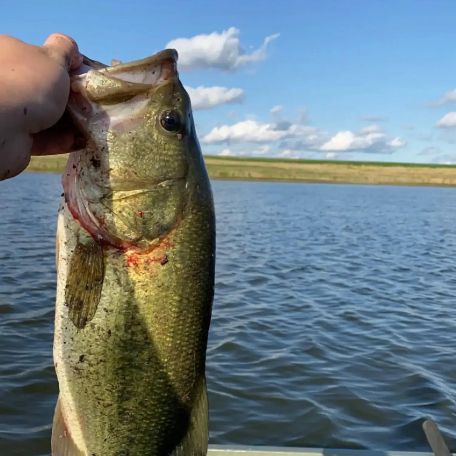 Rockford Lake fishing reports Beatrice NE United States