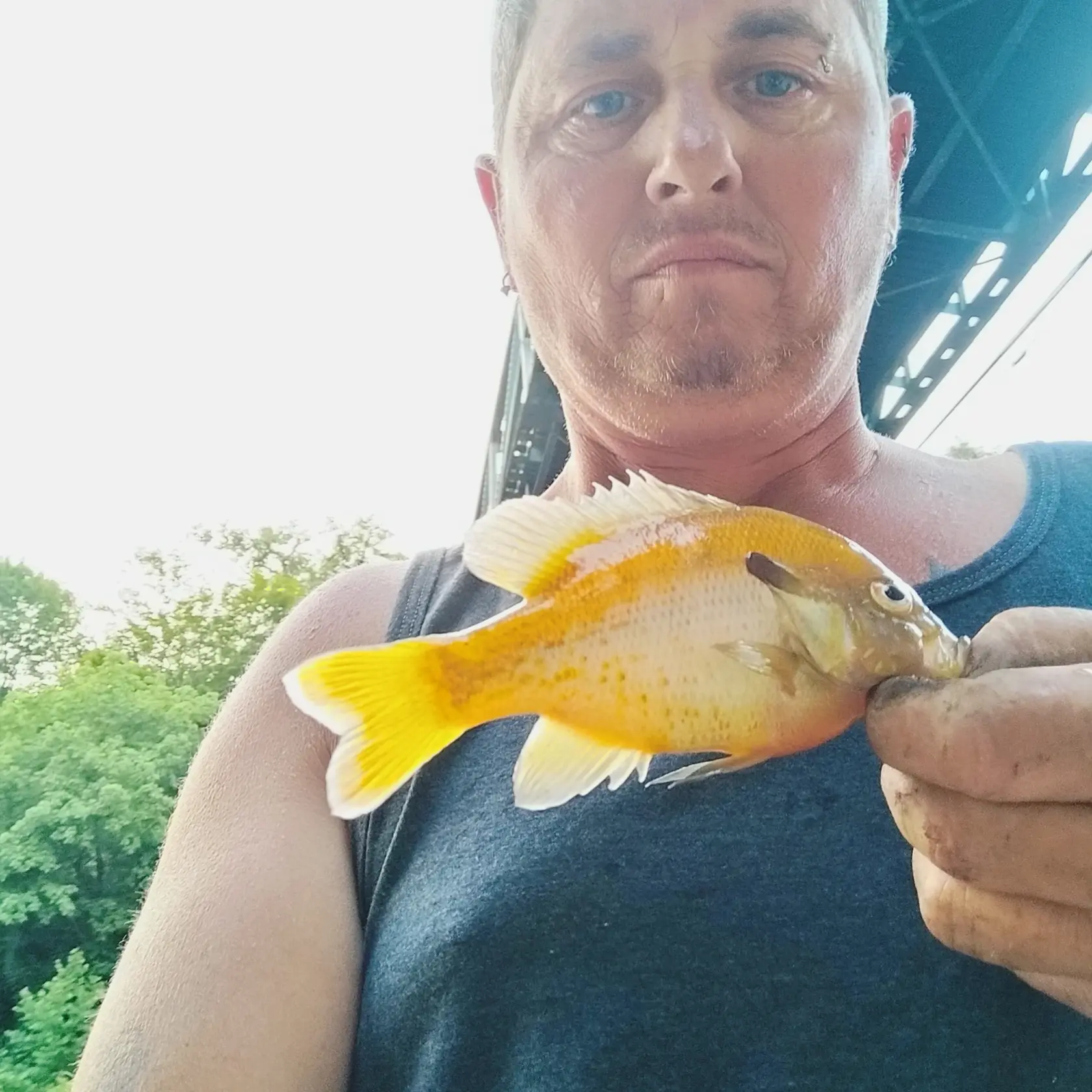 ᐅ Cacapon River fishing reports🎣• Martinsburg, WV (United States) fishing