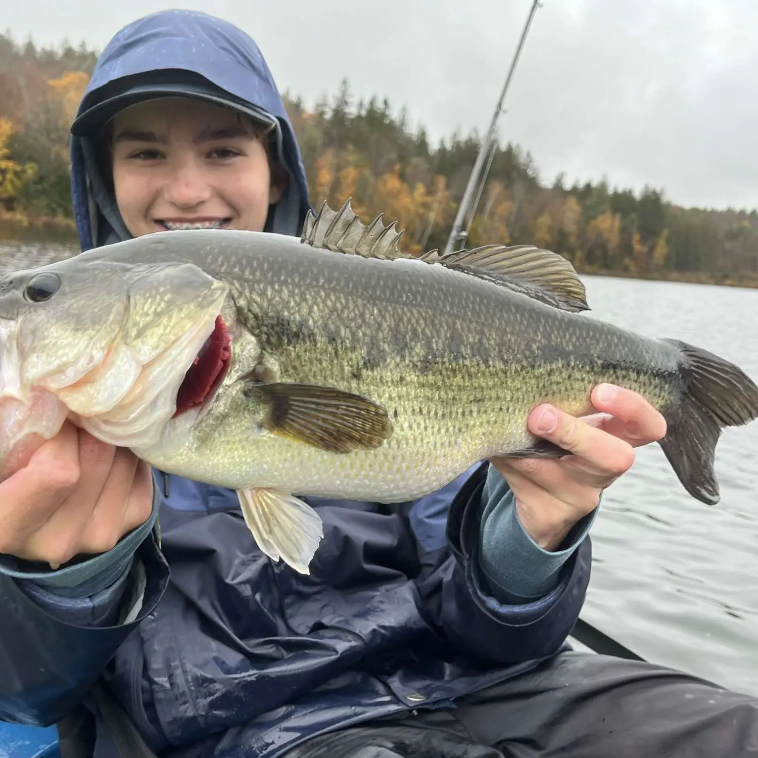 ᐅ Butler Pond fishing reports🎣• Barre, VT (United States) fishing