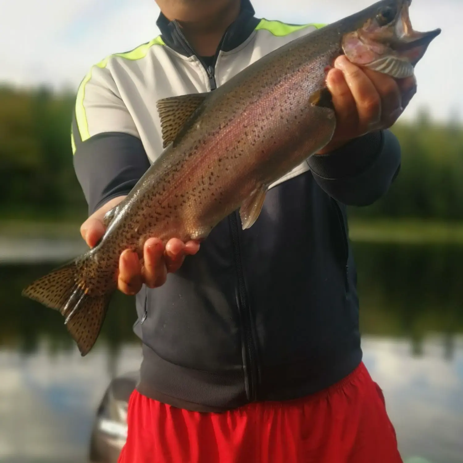 ᐅ Scales Pond fishing reports🎣• Prince Edward Island, Canada fishing