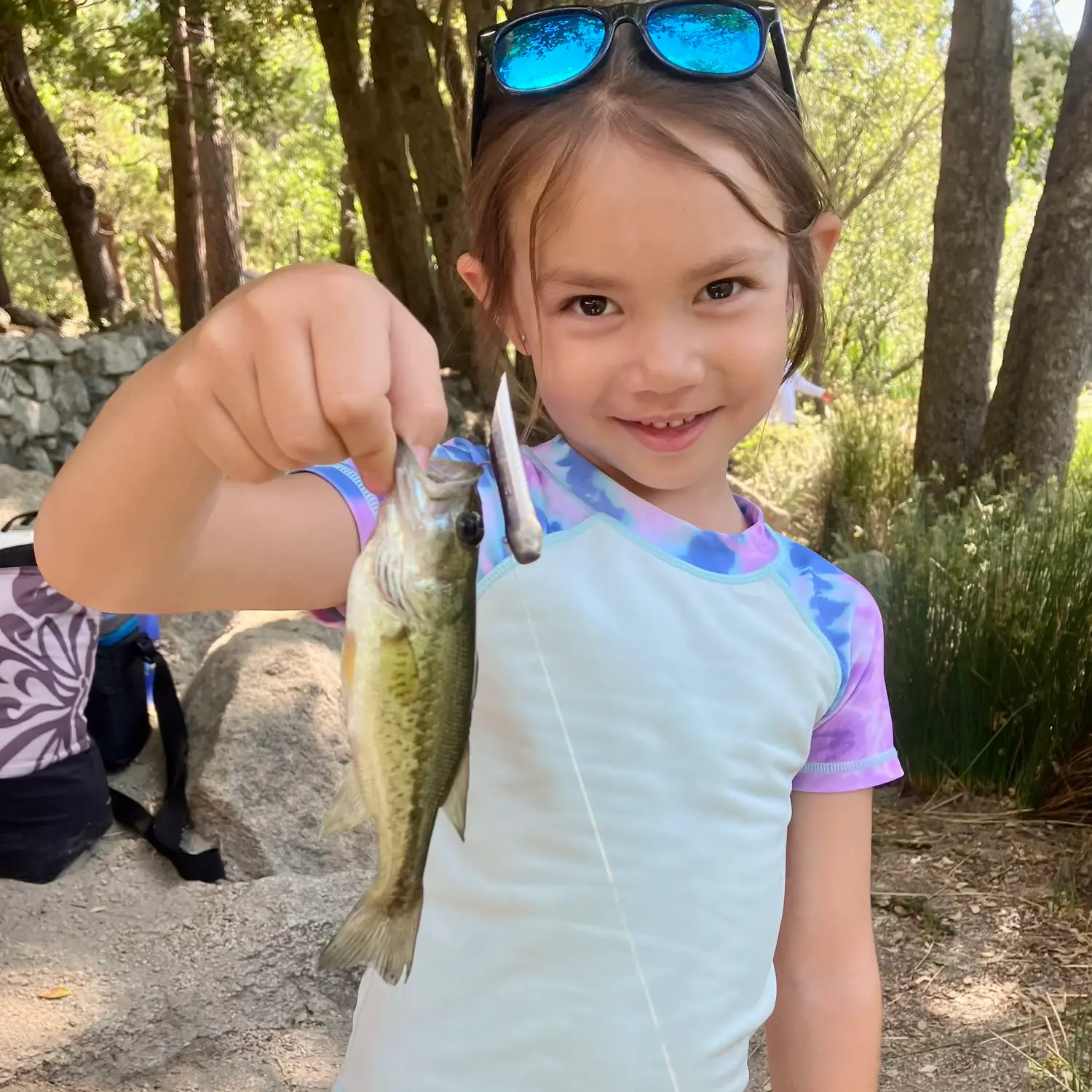 ᐅ Lake Fulmor fishing reports🎣• Valle Vista, CA (United States) fishing