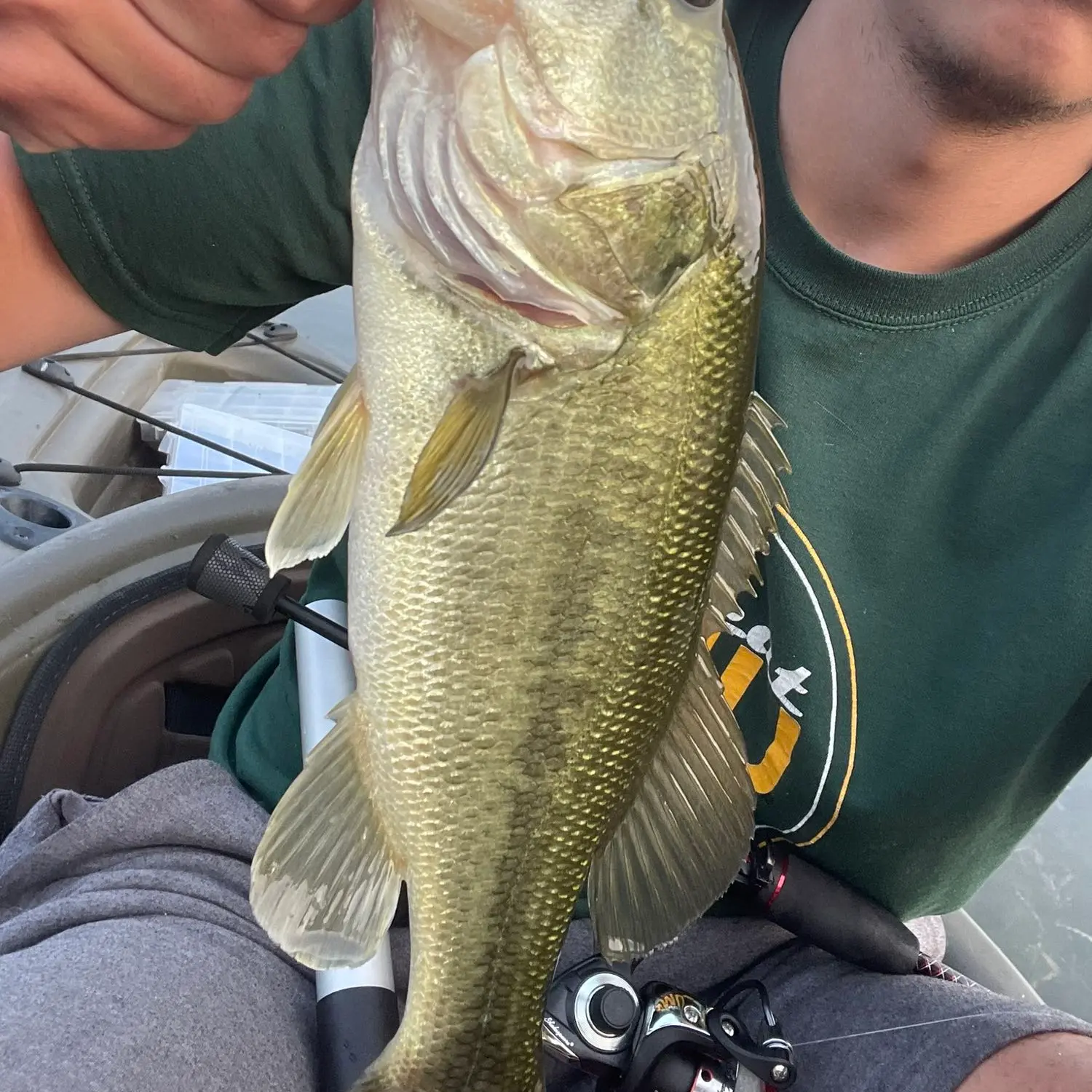 ᐅ Spring Valley Lake fishing reports🎣• Kalamazoo, MI (United States)  fishing