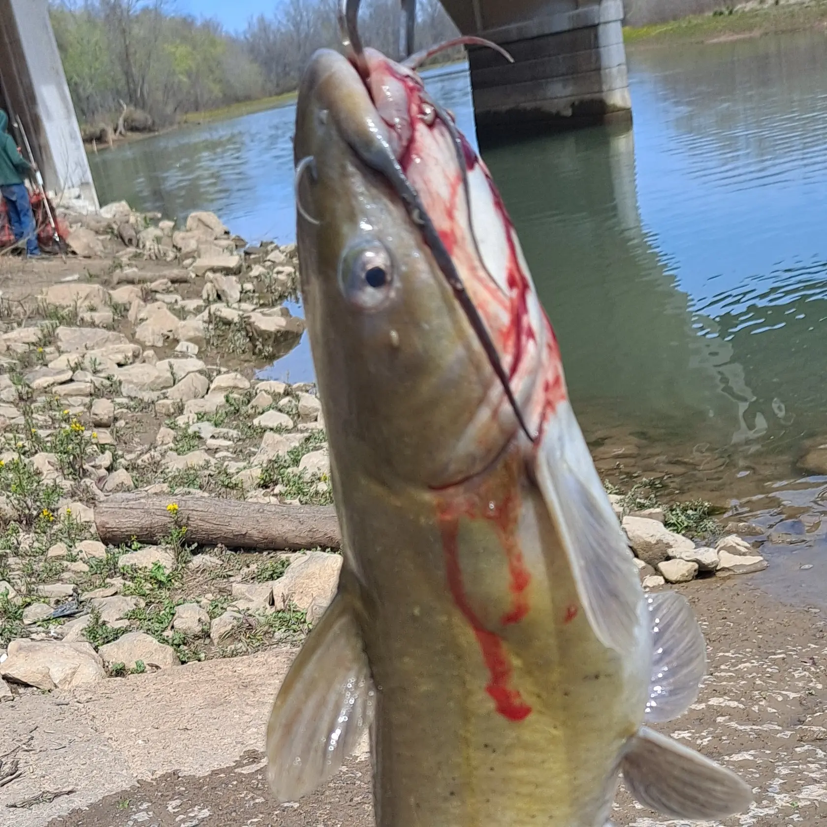 Fishing Gear for sale in Yellow Creek, Tennessee