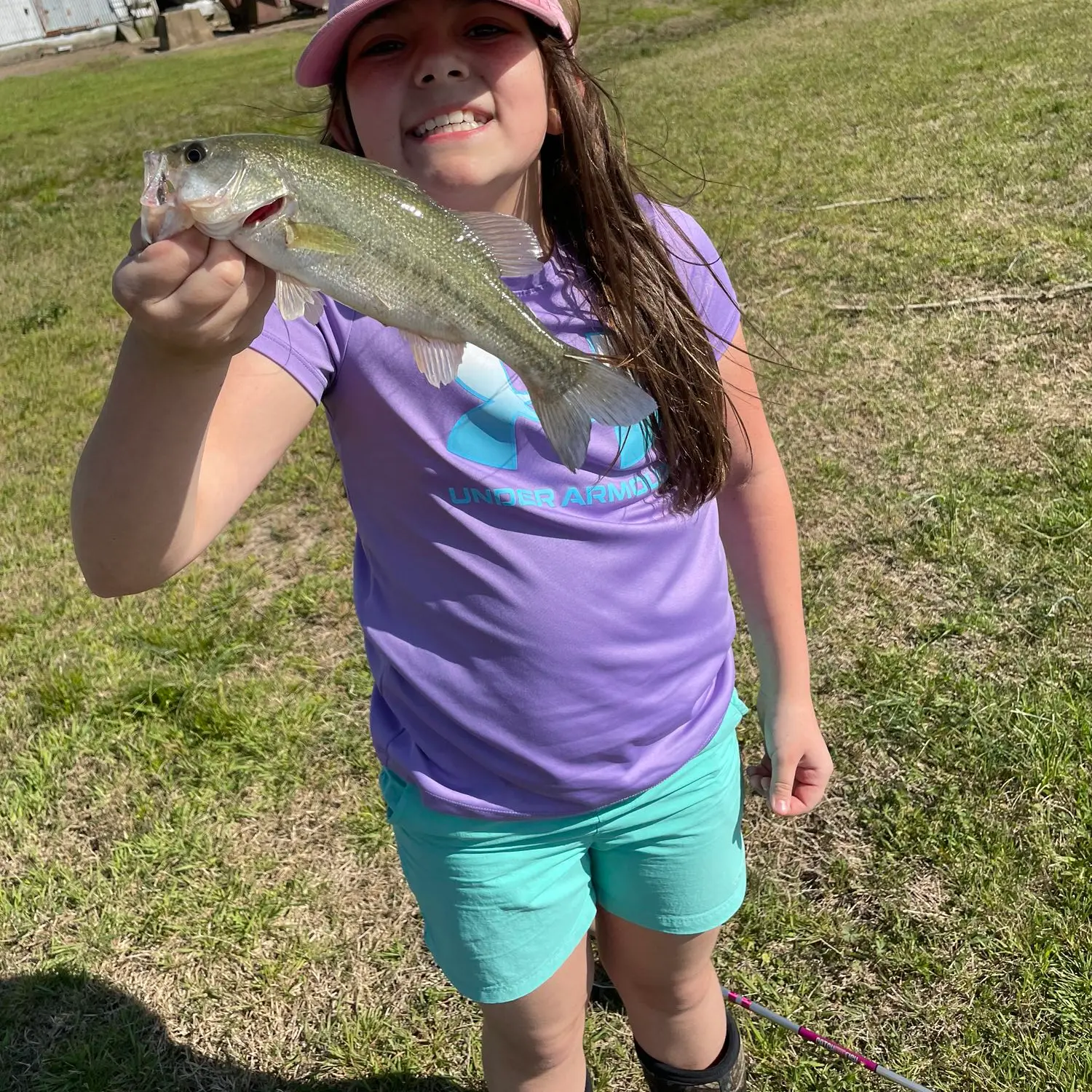 ᐅ Arkabutla Lake fishing reports🎣• Hernando, MS (United States) fishing