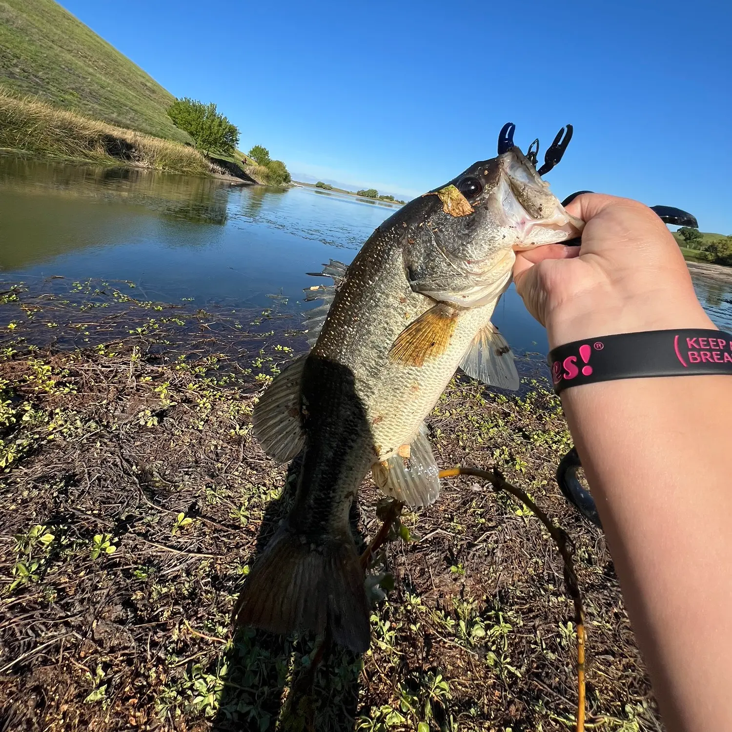Ultra Light Micro Spoon Suburban Trout Fishing at Contra Loma