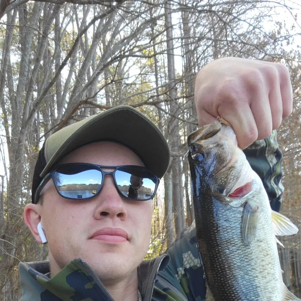 ᐅ Glenville Lake fishing reports🎣• Fayetteville, NC (United