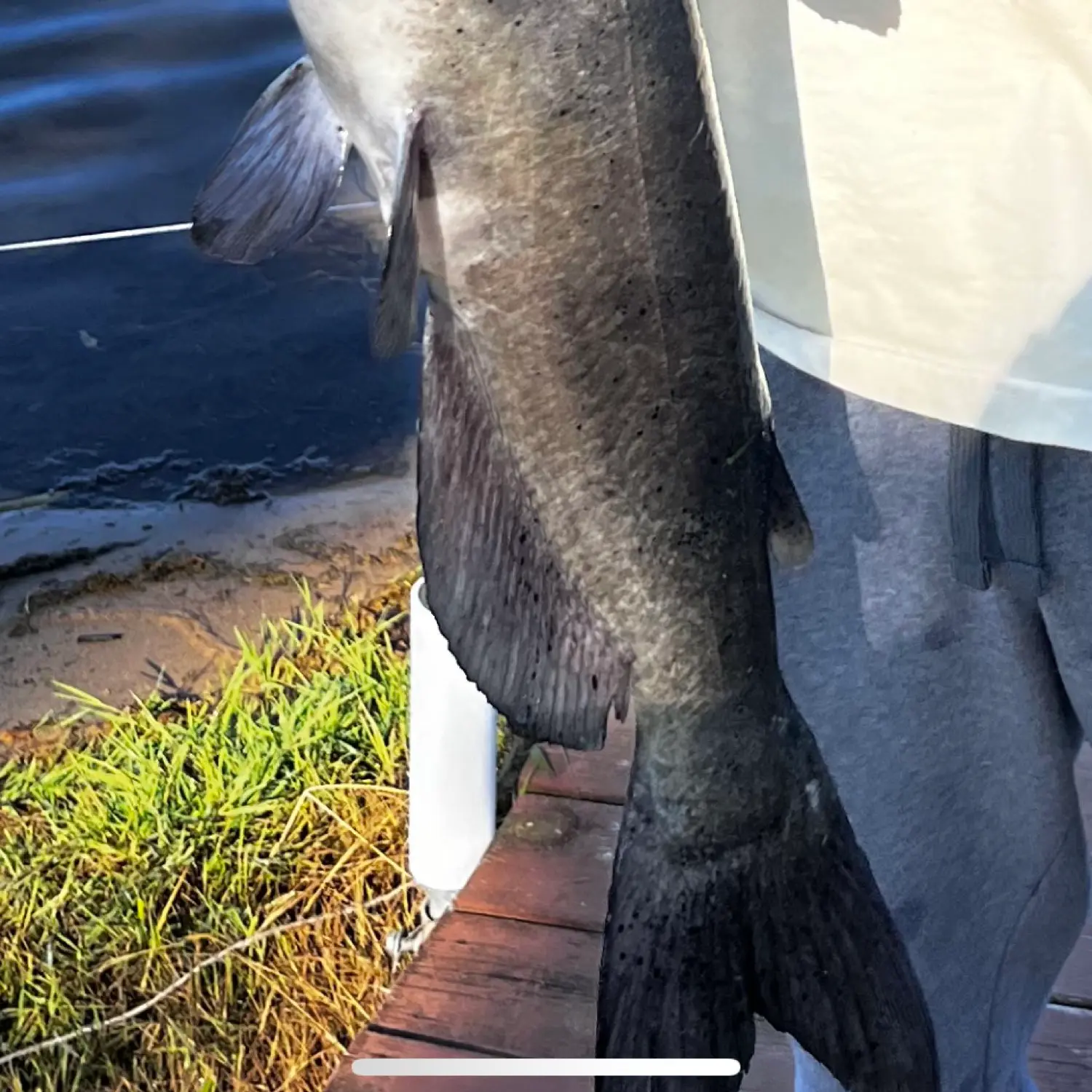 ᐅ Great Bear Lake fishing reports🎣• Otsego, MI (United States) fishing