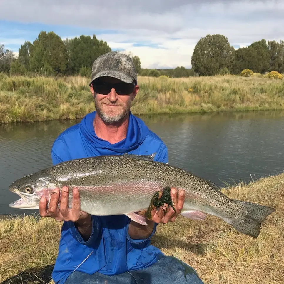 ᐅ Silver Creek fishing reports🎣• Ontario, Canada fishing