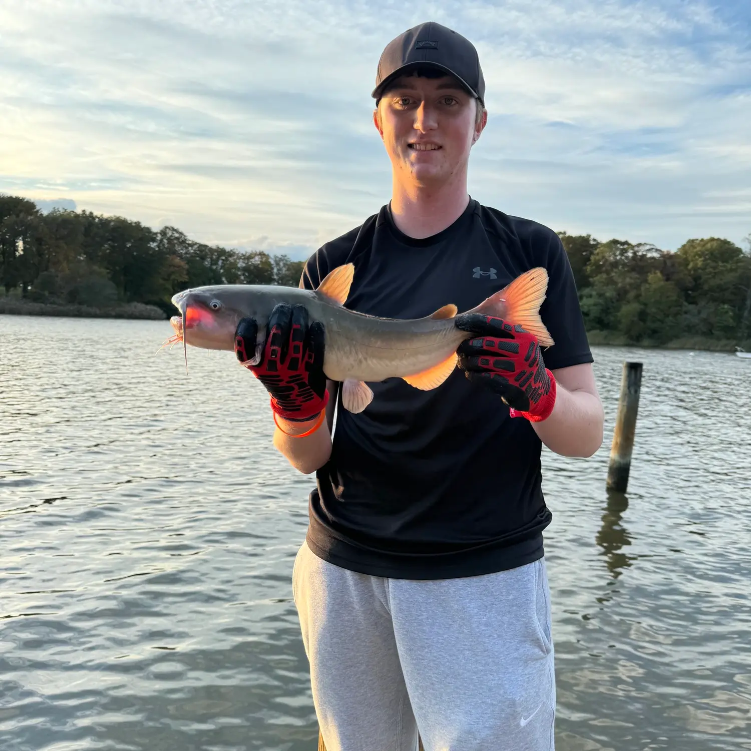 ᐅ Back River fishing reports🎣• Essex, MD (United States) fishing