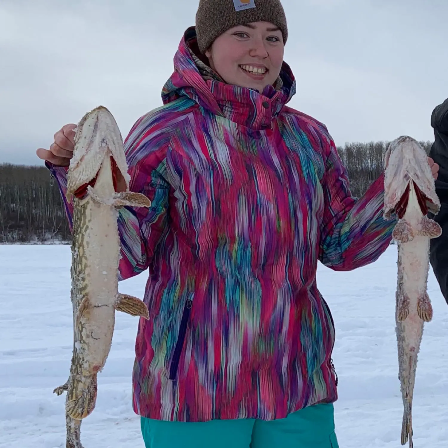 ᐅ Boire Lake fishing reports🎣• Saskatchewan, Canada fishing