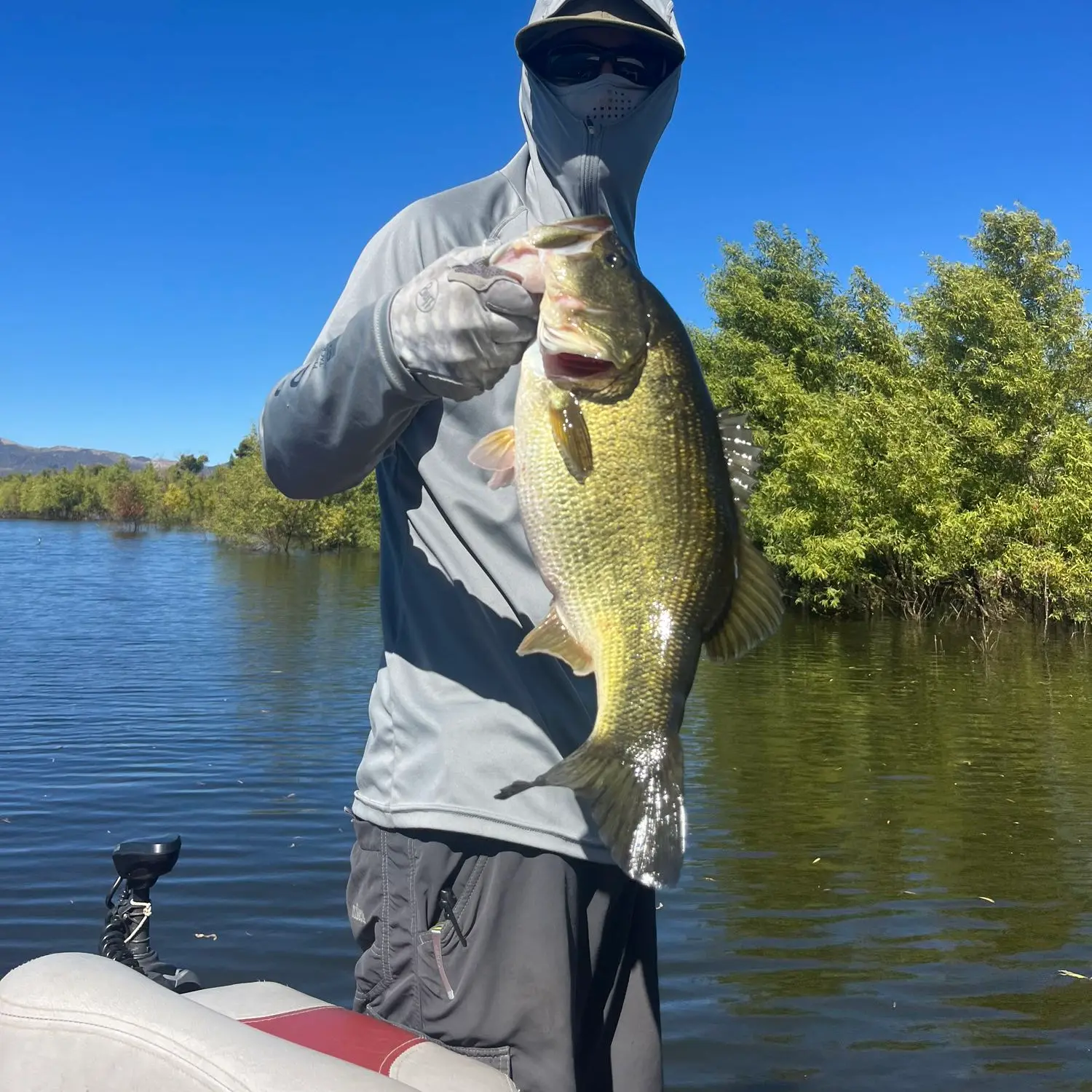 ᐅ Lake Henshaw fishing reports🎣• Ramona, CA (United States) fishing