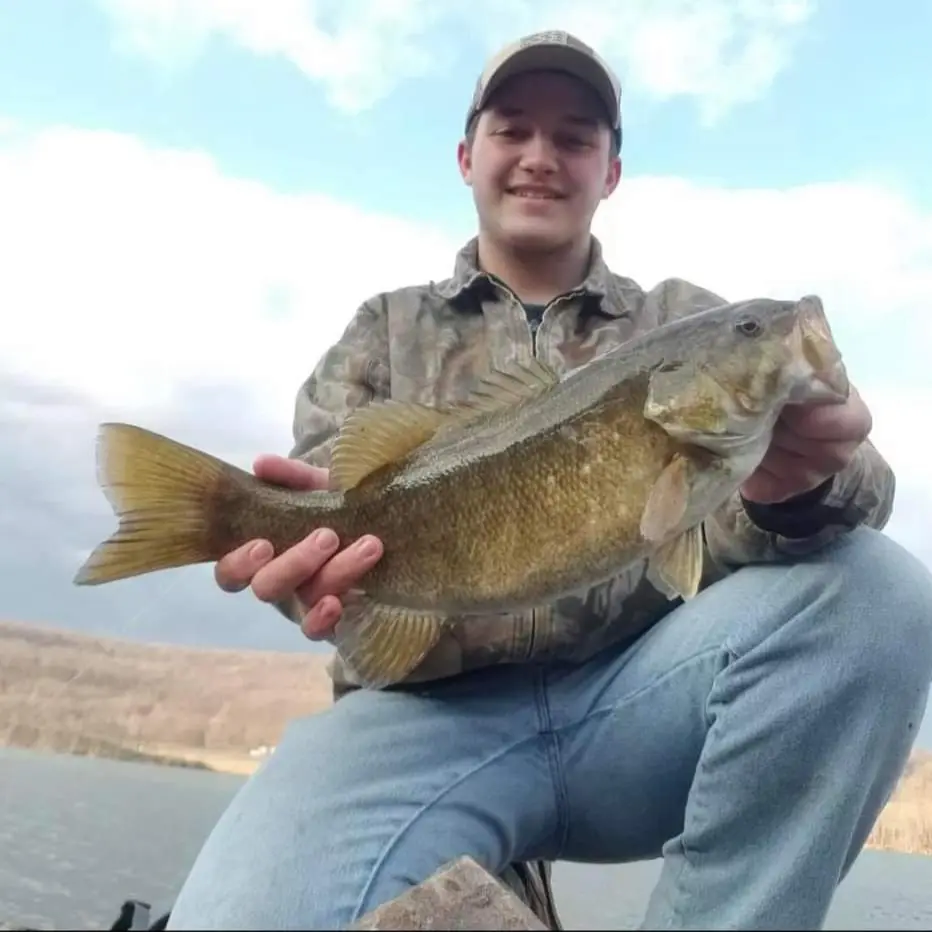 ᐅ Jennings Randolph Lake fishing reports🎣• Cumberland, WV (United ...