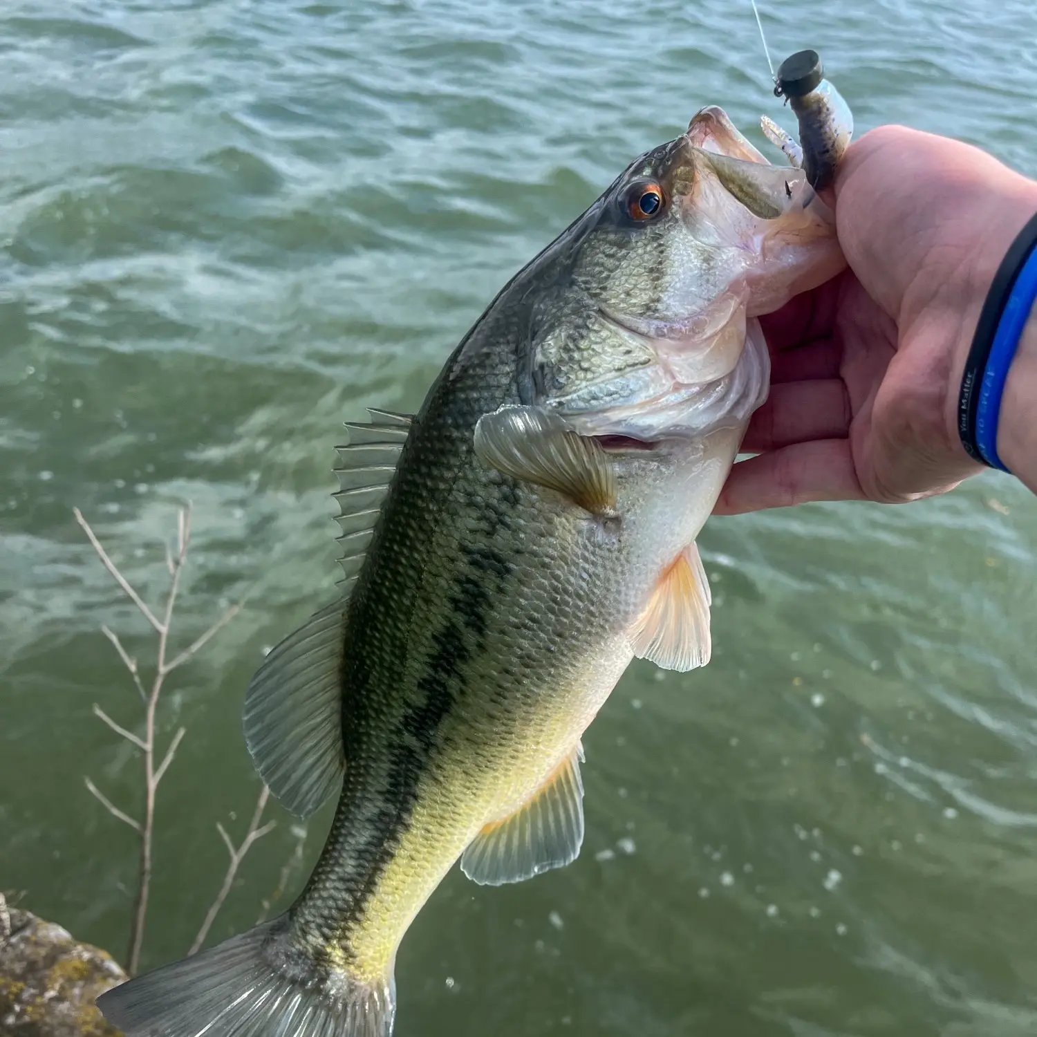 ᐅ Lima Reservoir fishing reports🎣• Lima, OH (United States) fishing