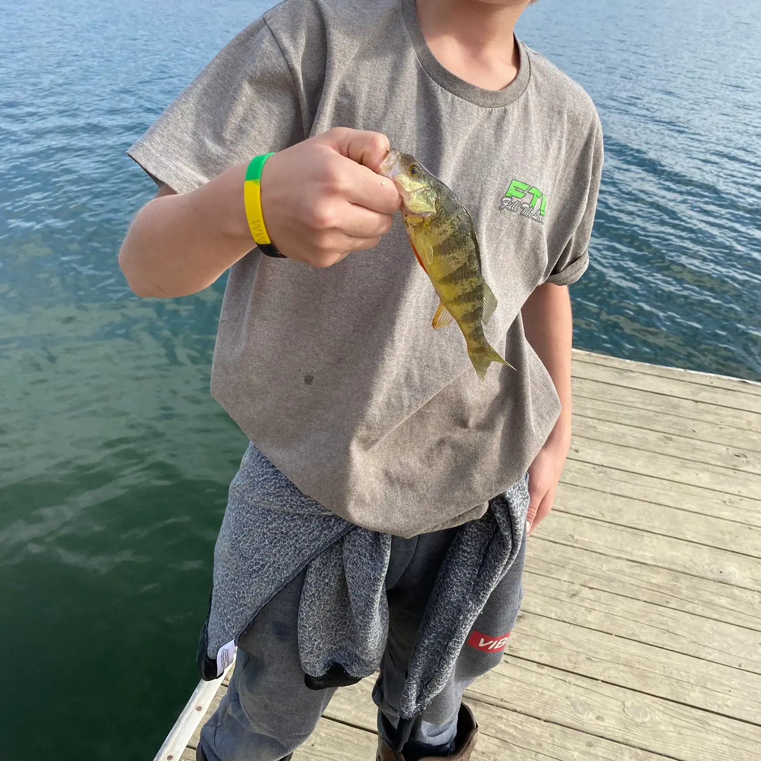 Fishing for Yellow Perch (Lake Marburg, Hanover P.A) 