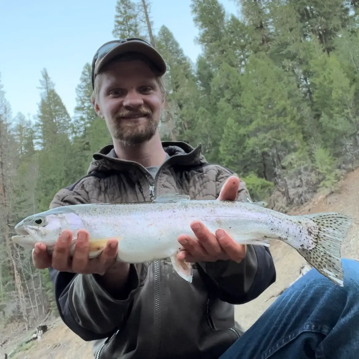 ᐅ Canyon Creek Lakes fishing reports🎣• Redding, CA (United States) fishing