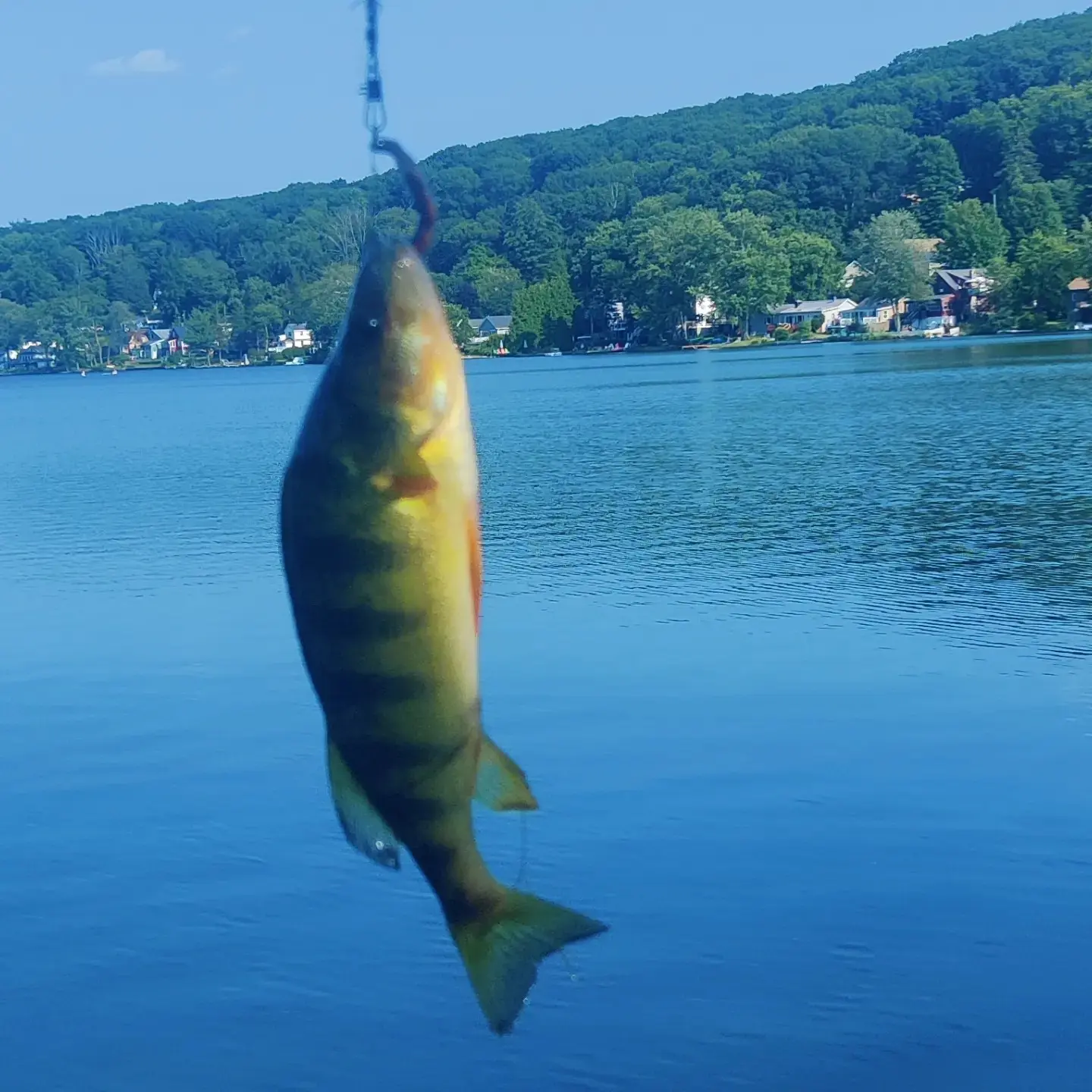 ᐅ Bruce Lake fishing reports🎣• Plymouth, IN (United States) fishing