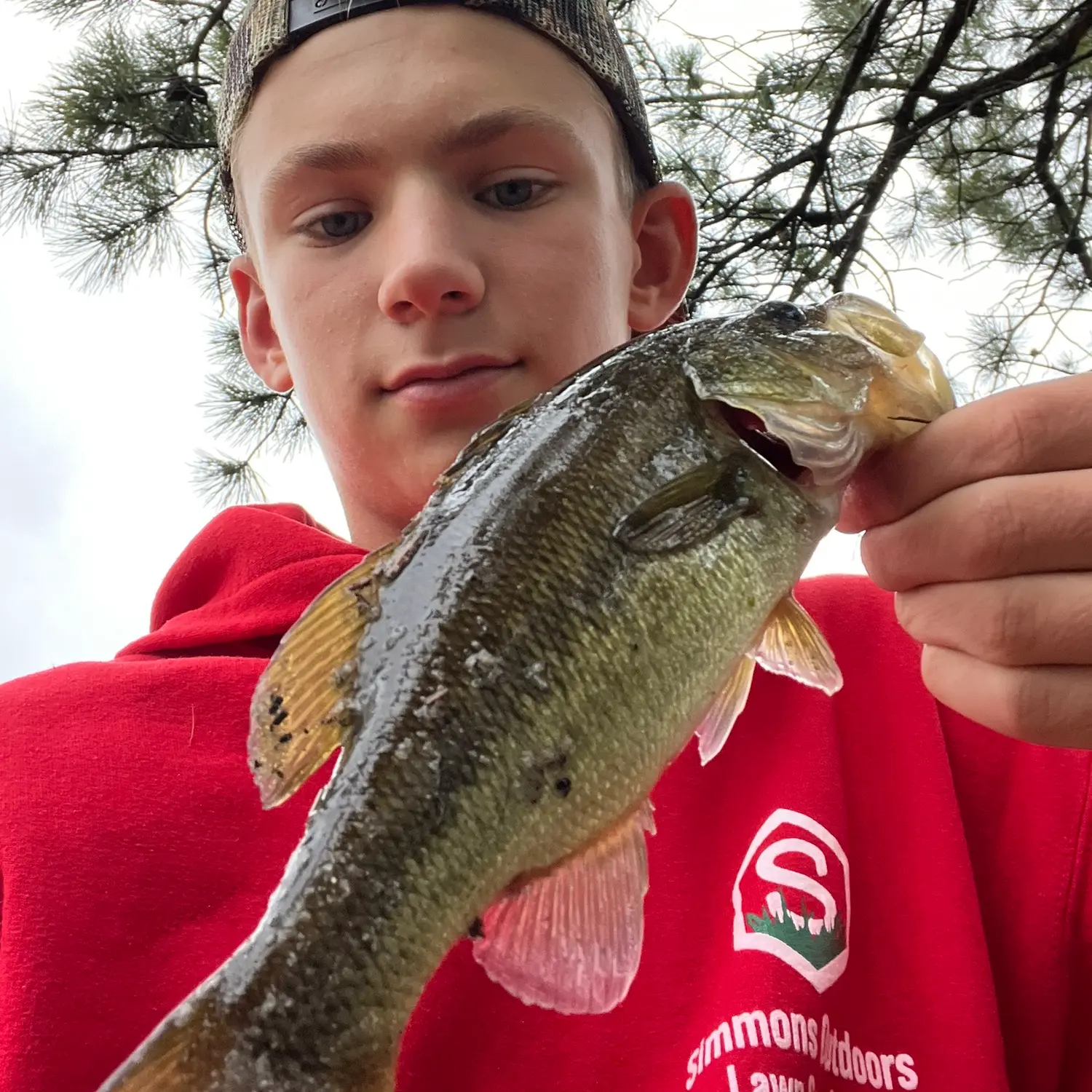 ᐅ Presidential Lakes fishing reports🎣• Pemberton, NJ (United States)  fishing