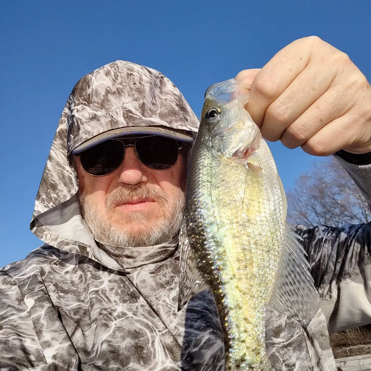 ᐅ Tycoon Lake fishing reports🎣• Jackson, OH (United States) fishing