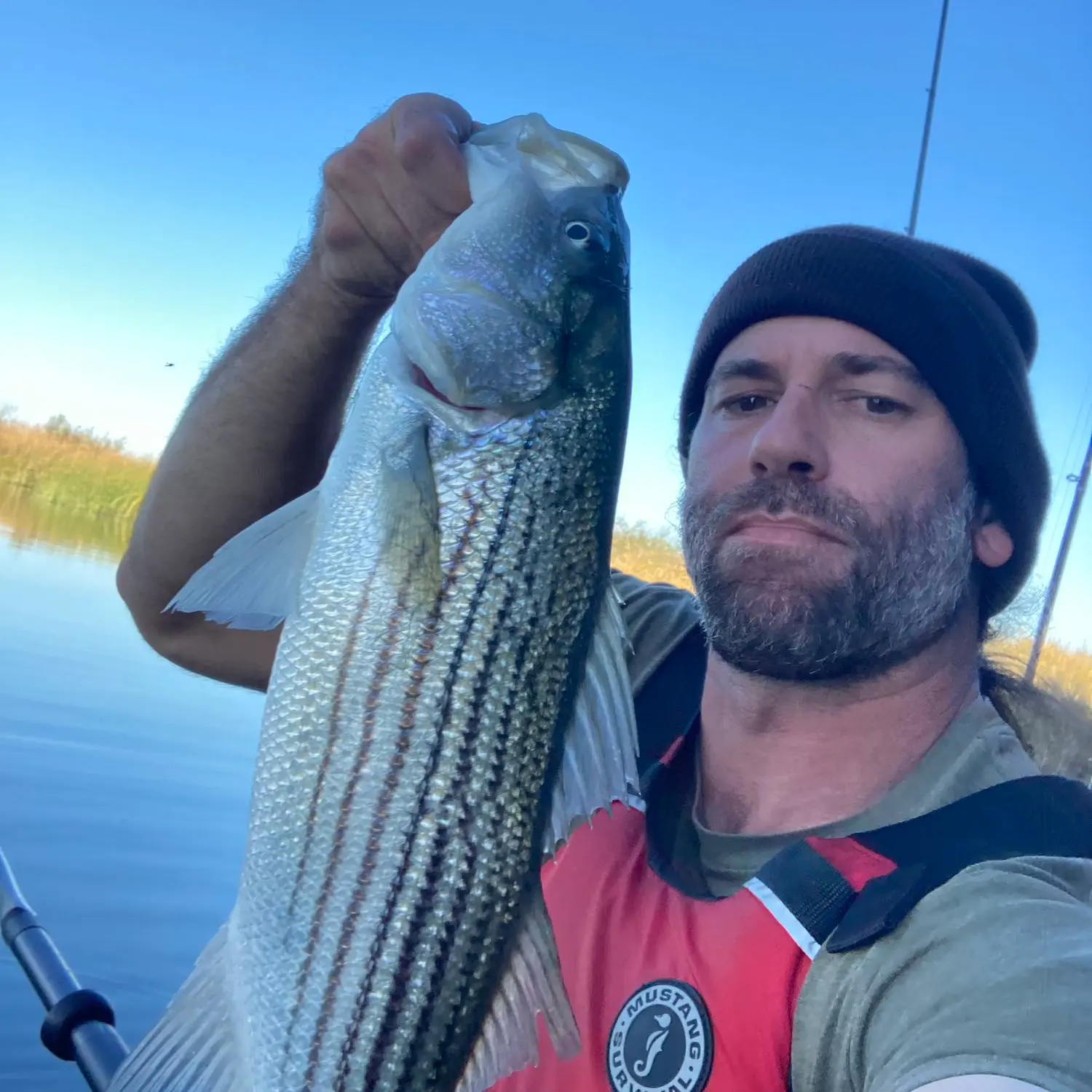 Creek Fishing (Oakley California) BIG BASS!!! 