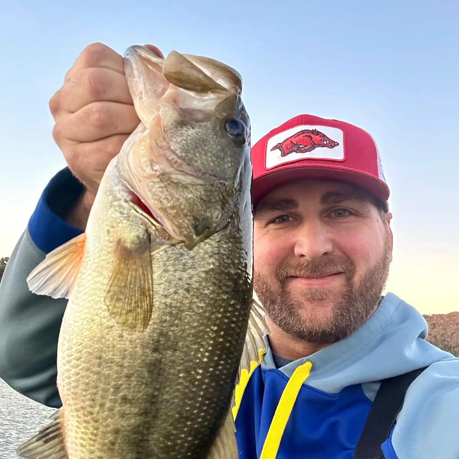 ᐅ Lake Sequoyah fishing reports🎣• Fayetteville, AR (United States) fishing