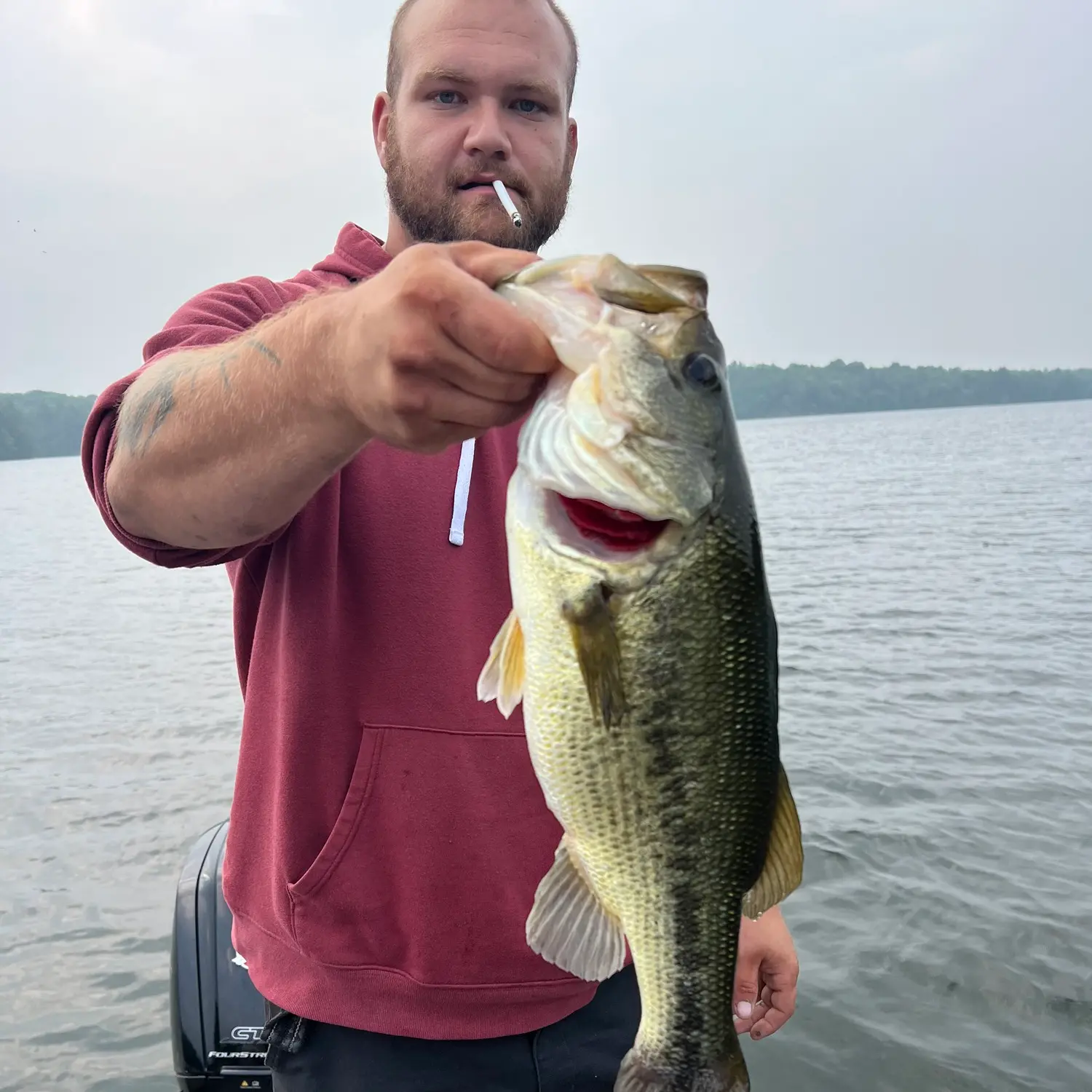 Loughborough Lake stocked with 15,000 lake trout - Kingston