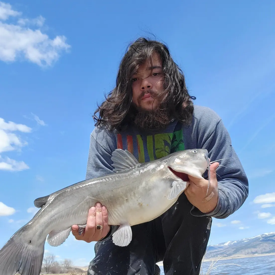 Nevada fishing report: Little Washoe Lake receives stocking of catfish