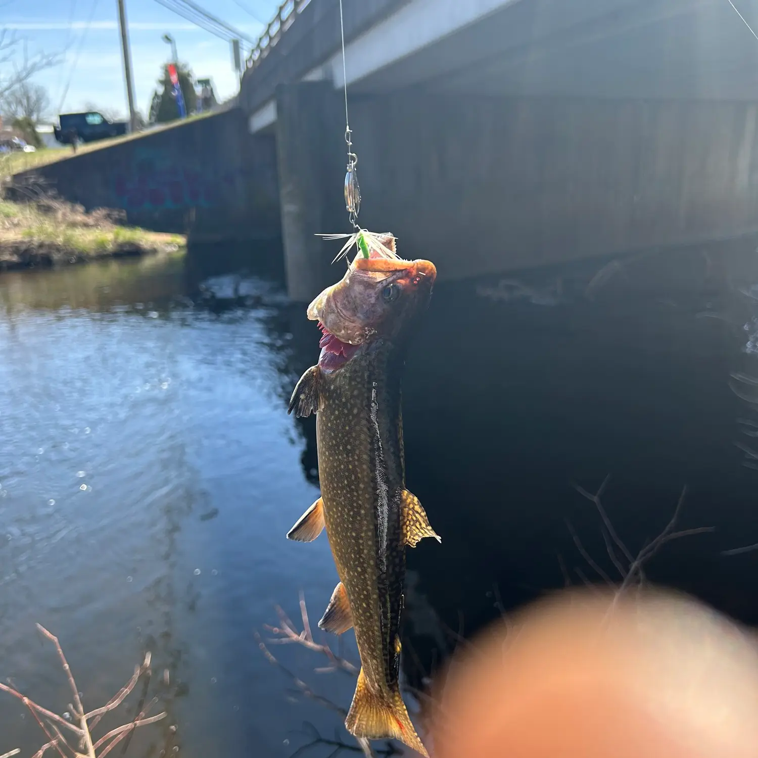 ᐅ French Brook fishing reports🎣• Manchester, CT (United States) fishing