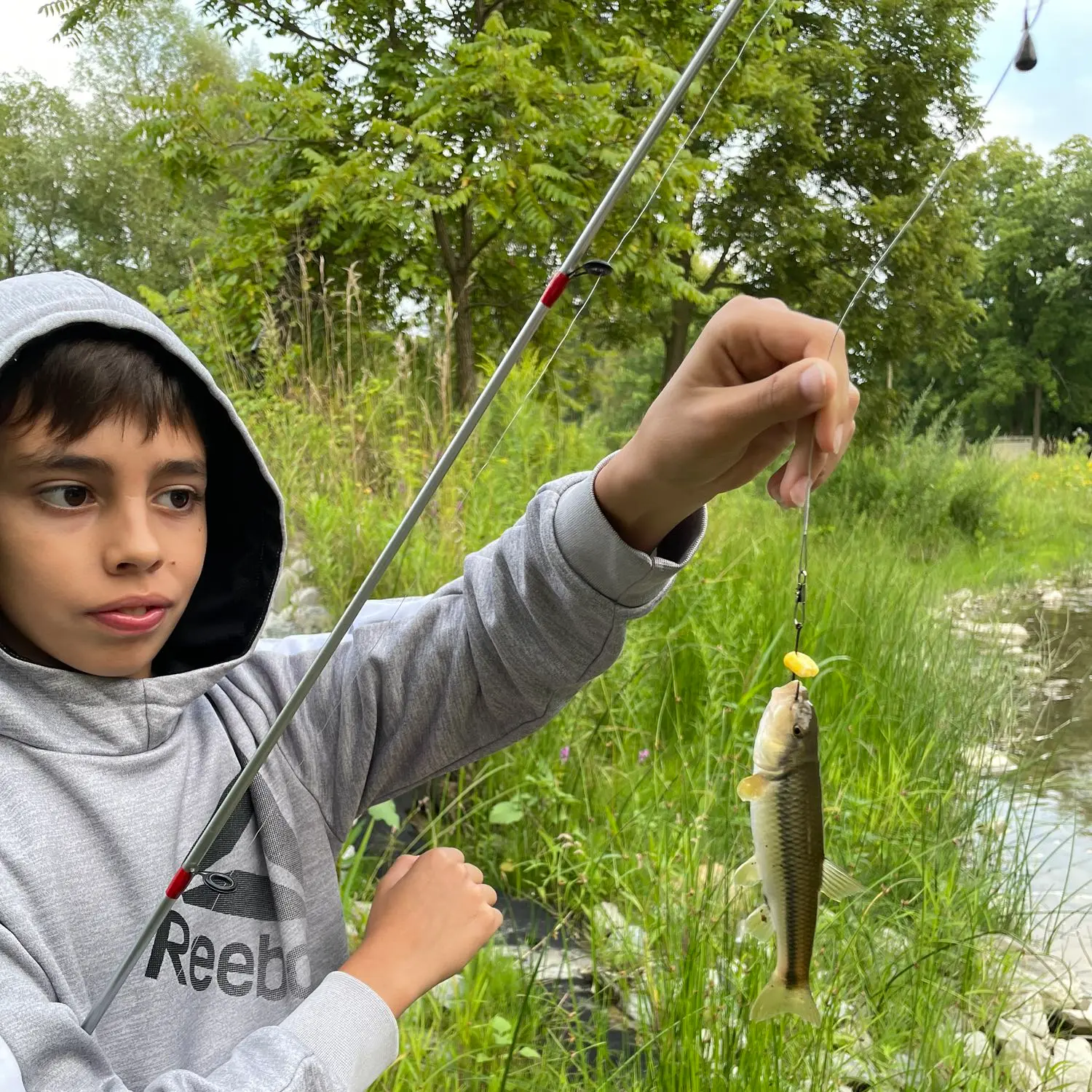 ᐅ East Humber River fishing reports🎣• Lewiston, Ontario (Canada