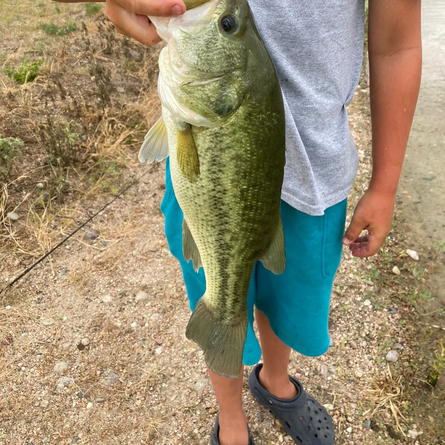 ᐅ Cozad Lake fishing reports🎣• North Platte, NE (United States) fishing