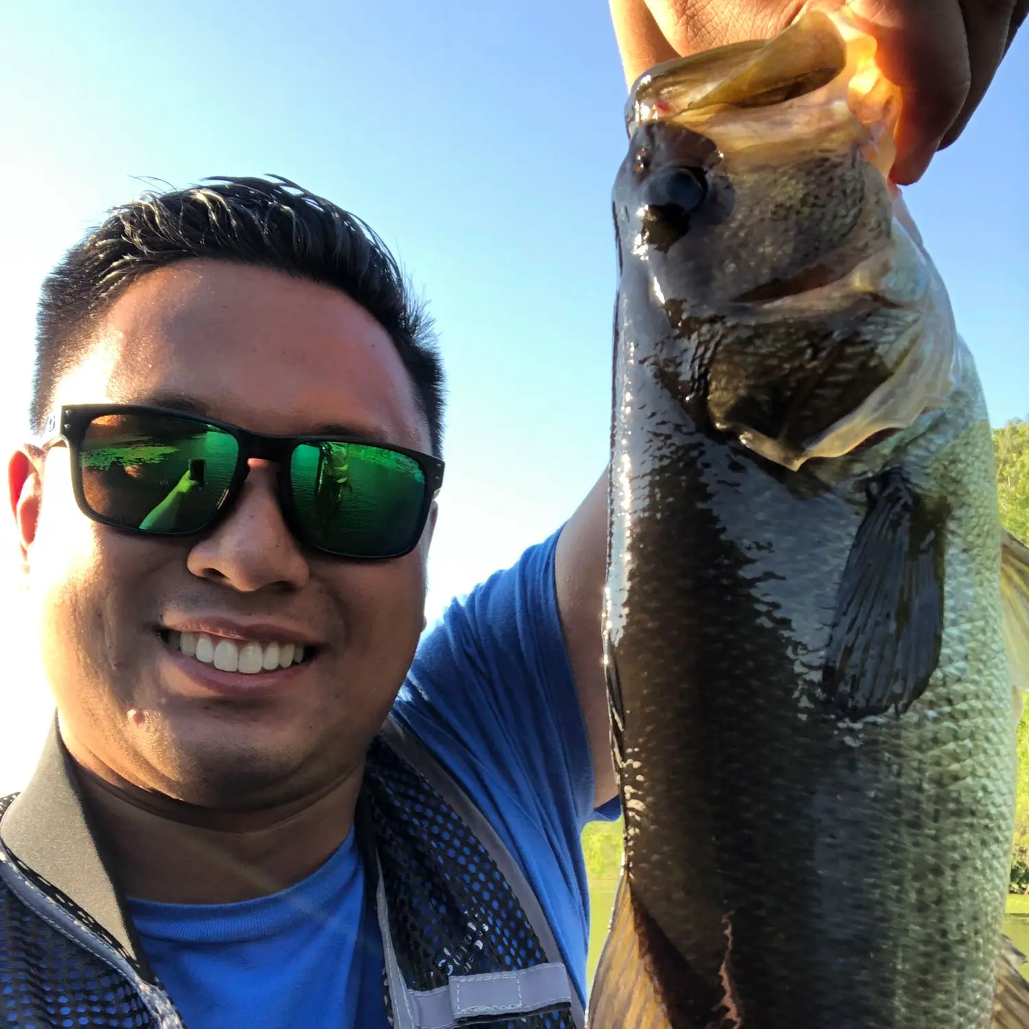 ᐅ Wheeler Pond fishing reports🎣• Montville, CT (United States) fishing