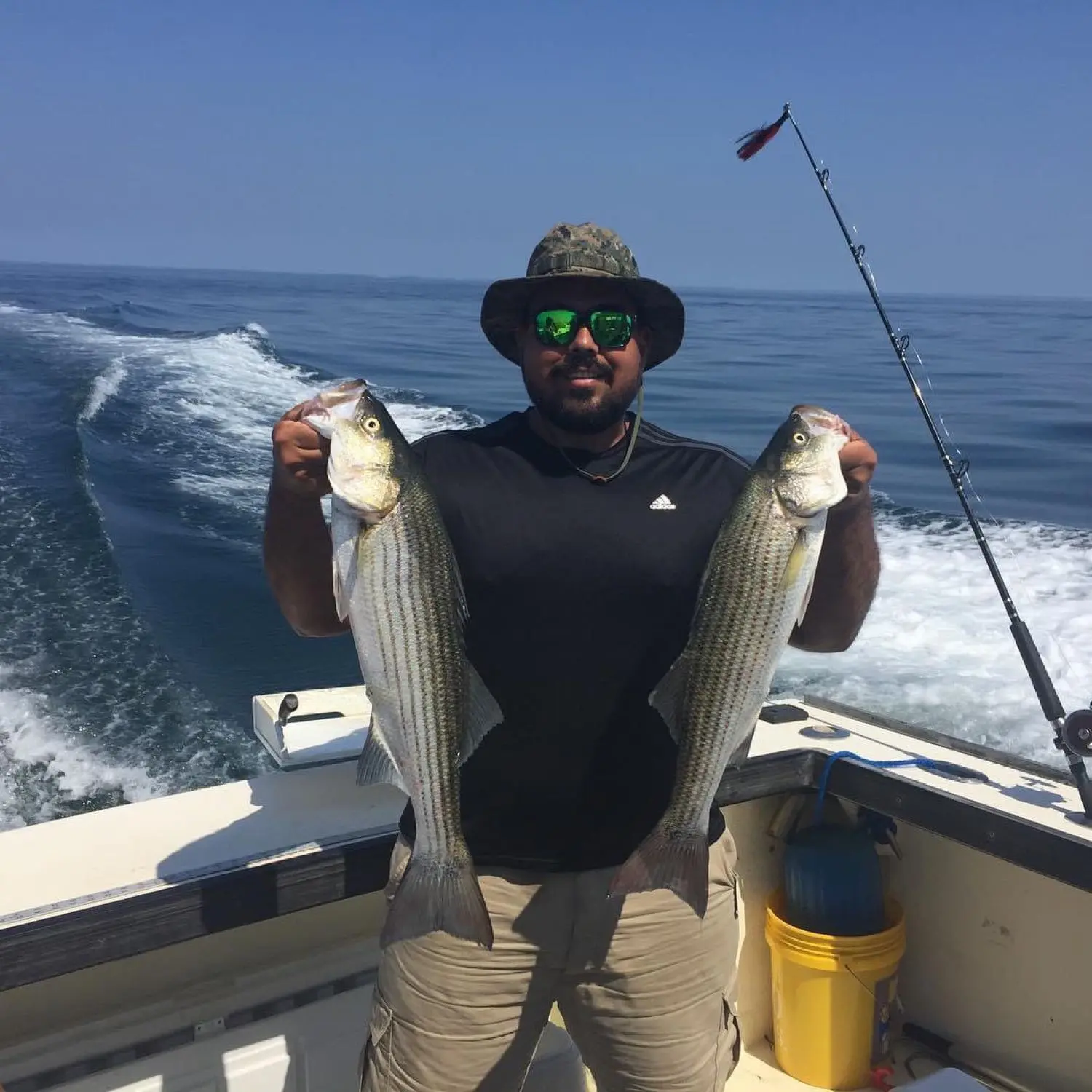 ᐅ Cape Cod Bay fishing reports🎣• Duxbury, MA (United States) fishing