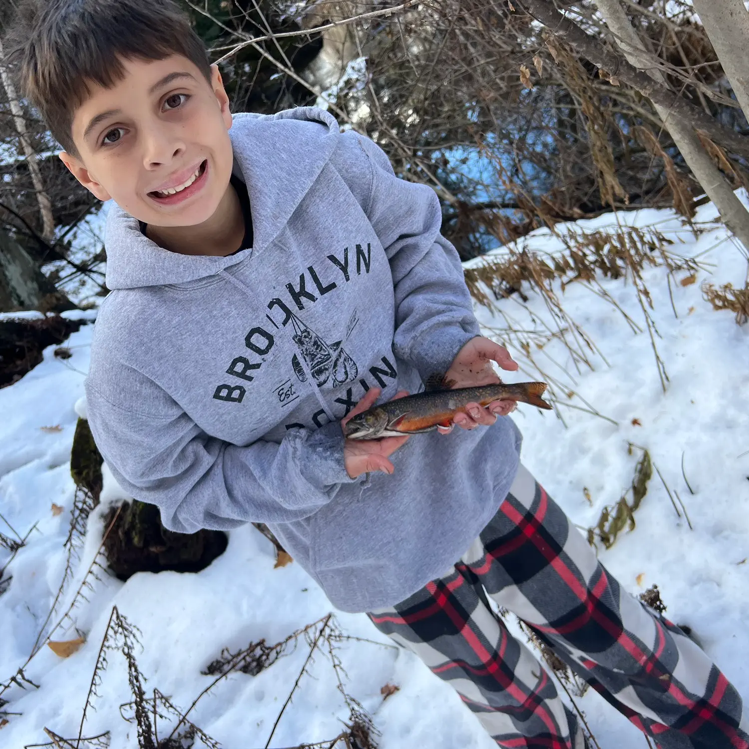 ᐅ Lucy Brook fishing reports🎣• Berlin, NH (United States) fishing