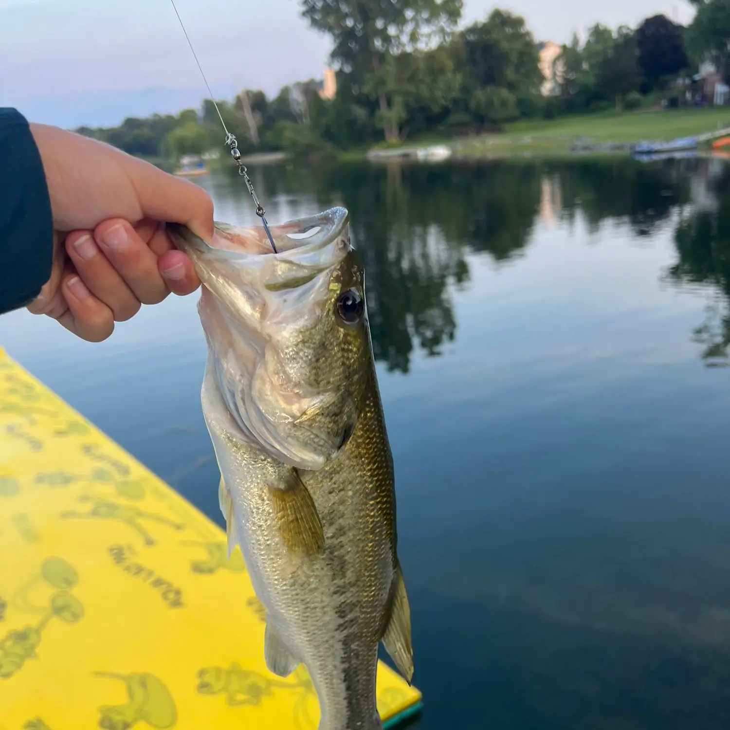 ᐅ Sears Lake fishing reports🎣• Wixom, MI (United States) fishing