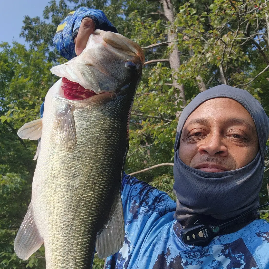 ᐅ Lake Tom-A-Lex fishing reports🎣• Thomasville, NC (United States) fishing