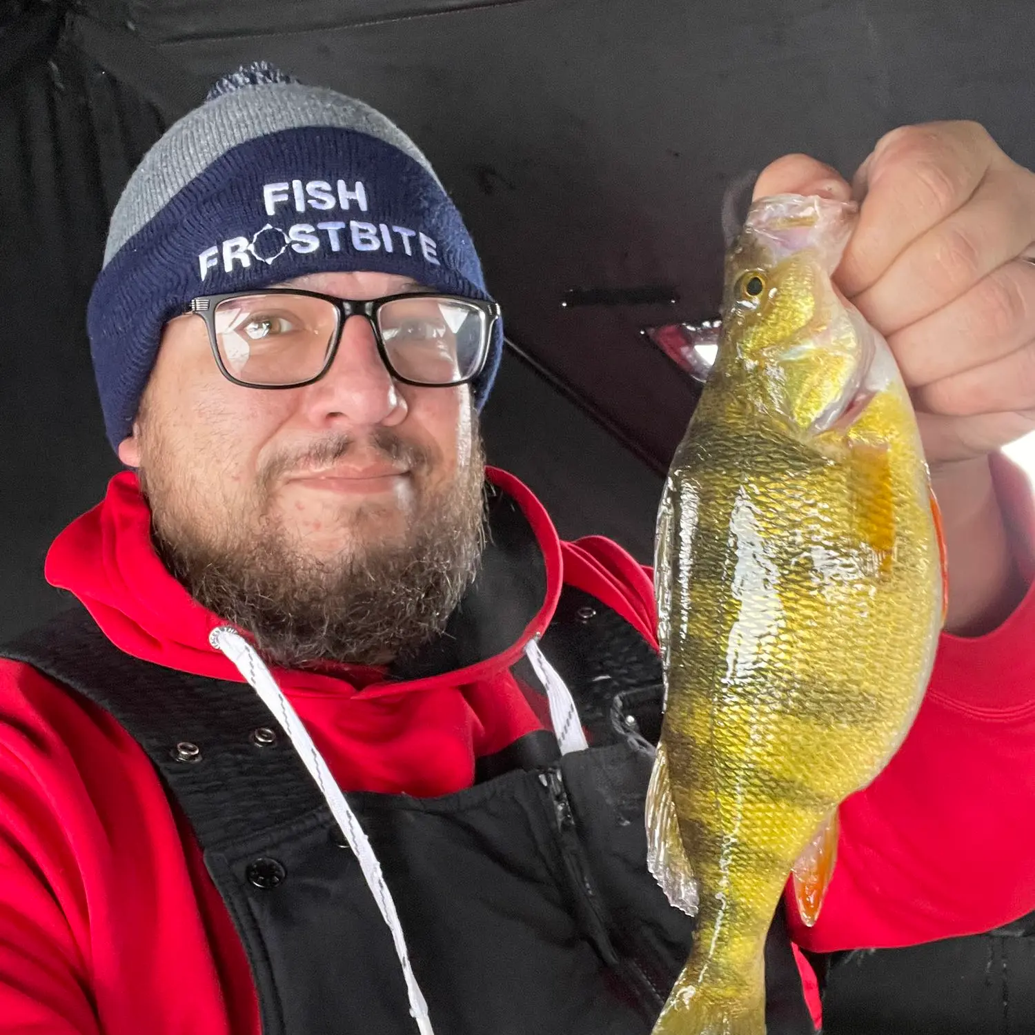 ᐅ North Lake fishing reports🎣• Red Wing, MN (United States) fishing